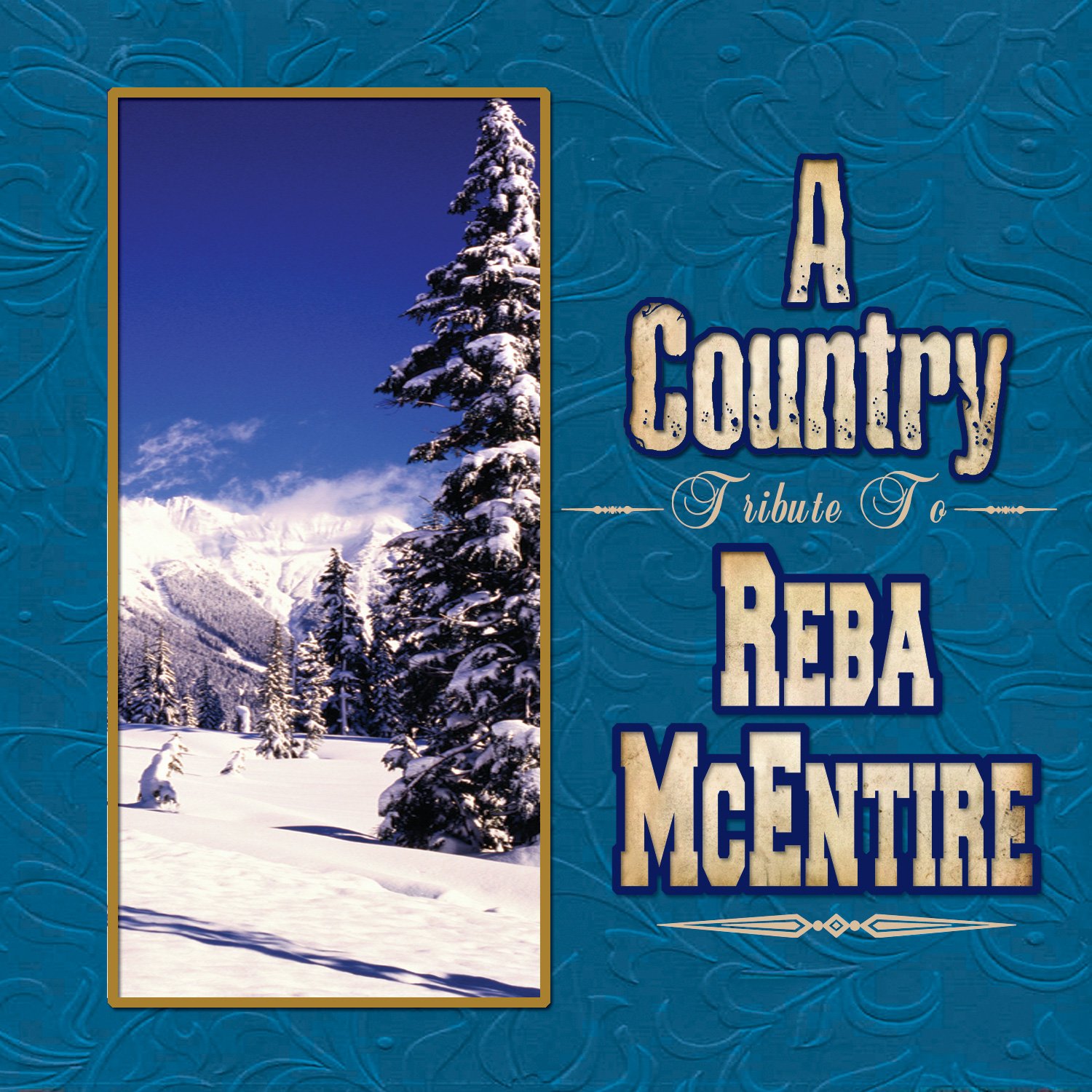 DJ a Country Music Tribute to
