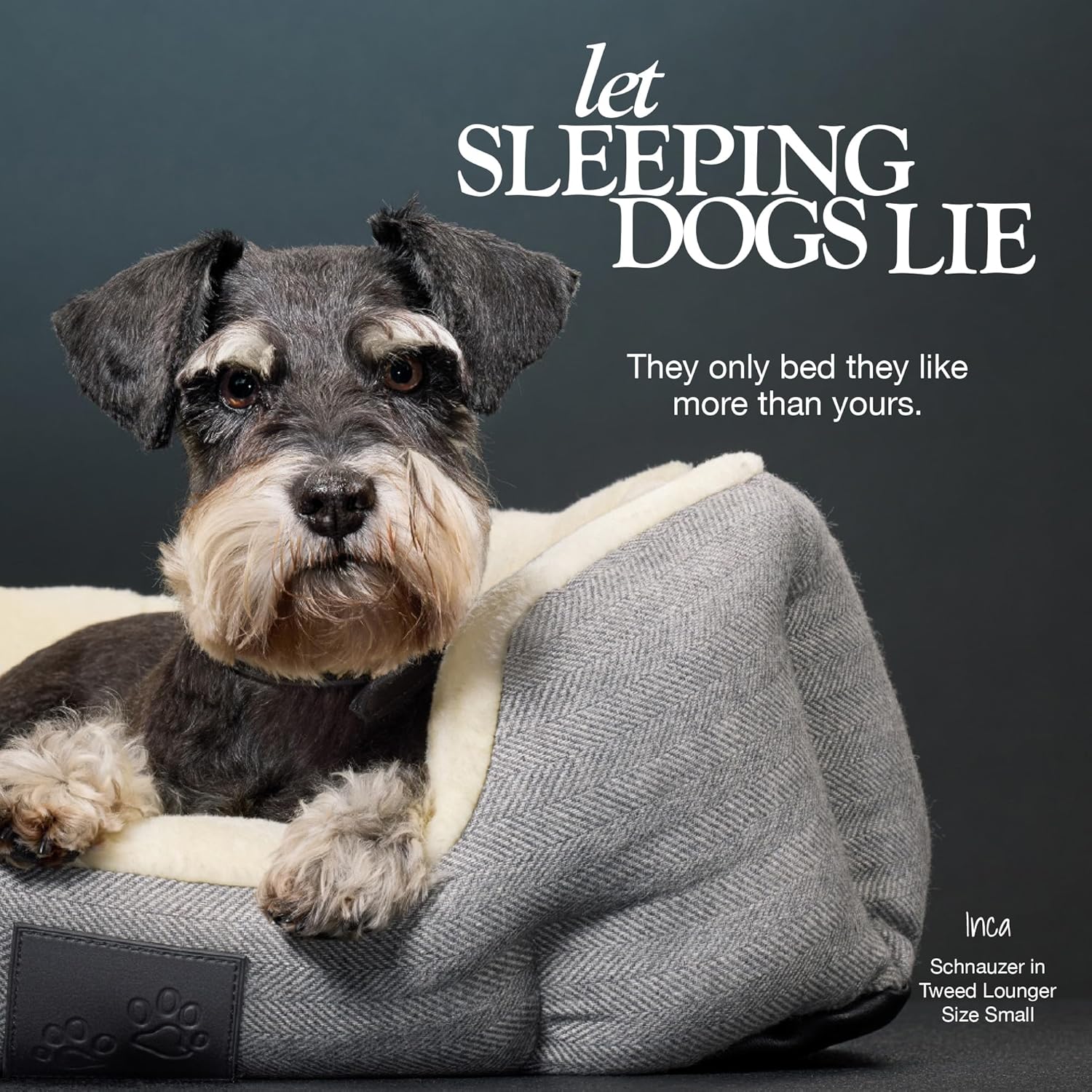 Mello- The Ultra Luxe Bolster Dog Bed with Removable Washable Pillow for All Pet Breeds, Charcoal Tweed, Medium