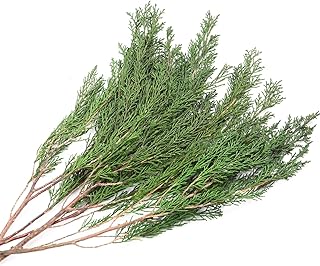 3.5OZ Preserved Real Pine Leaves Branches -17'' Natural Christmas Greenery Plants Twigs Stems Pine Needles Evergreen Picks for Garland Wreath Xmas Wedding Home Party Indoor Outdoor Decor