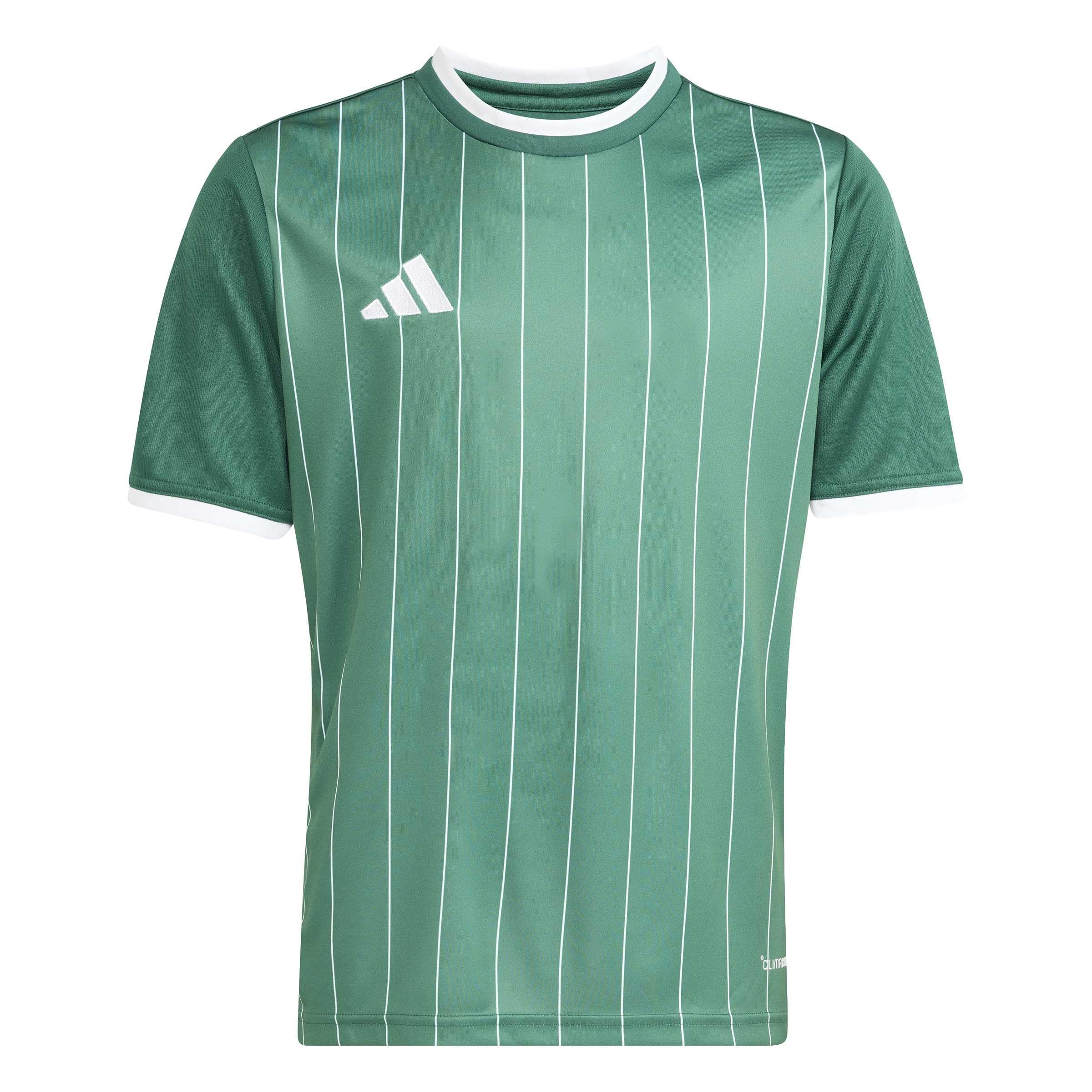 adidas Unisex Kids Entrada26 Graphic Jersey Kids Shirt, Team Dark Green/White, 11-12 Years