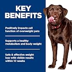 Hill's Science Diet Adultes Poids parfait Grand aliment pour chien sec, recette de poulet 11.34 kg Sachet