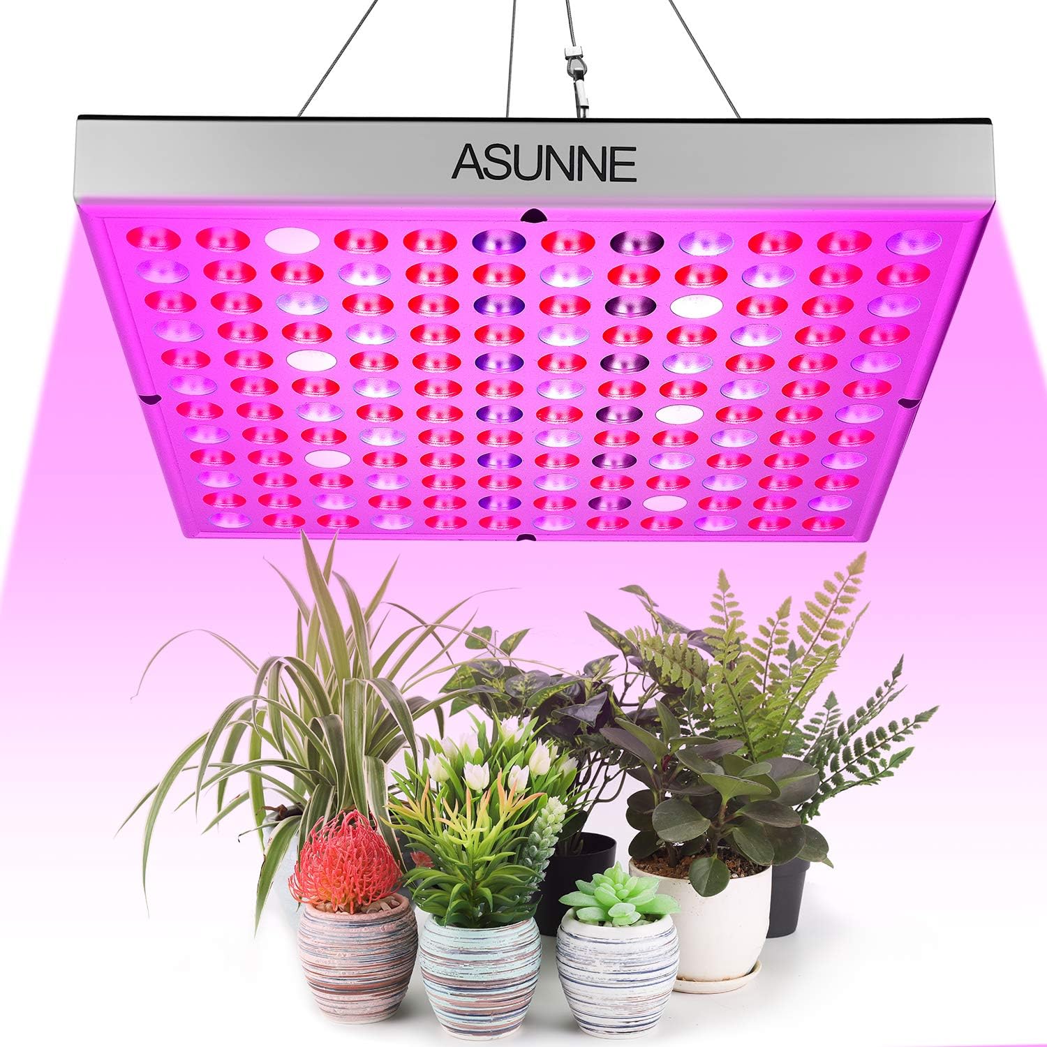 lampadina per piante