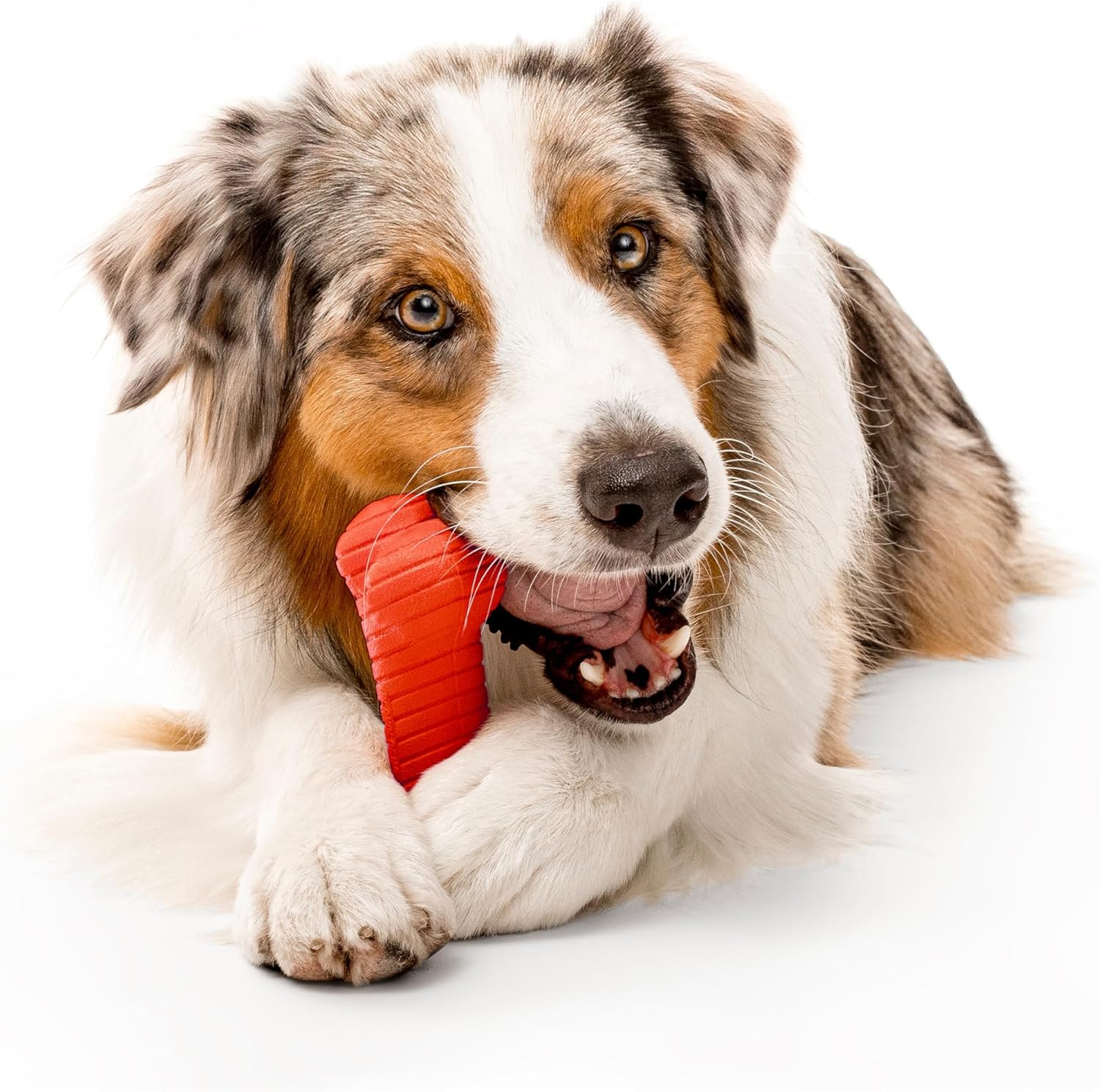 Playology Dual Layer Bone X-Large Chew Toy, Peanut Butter & Beef, 2-Pack