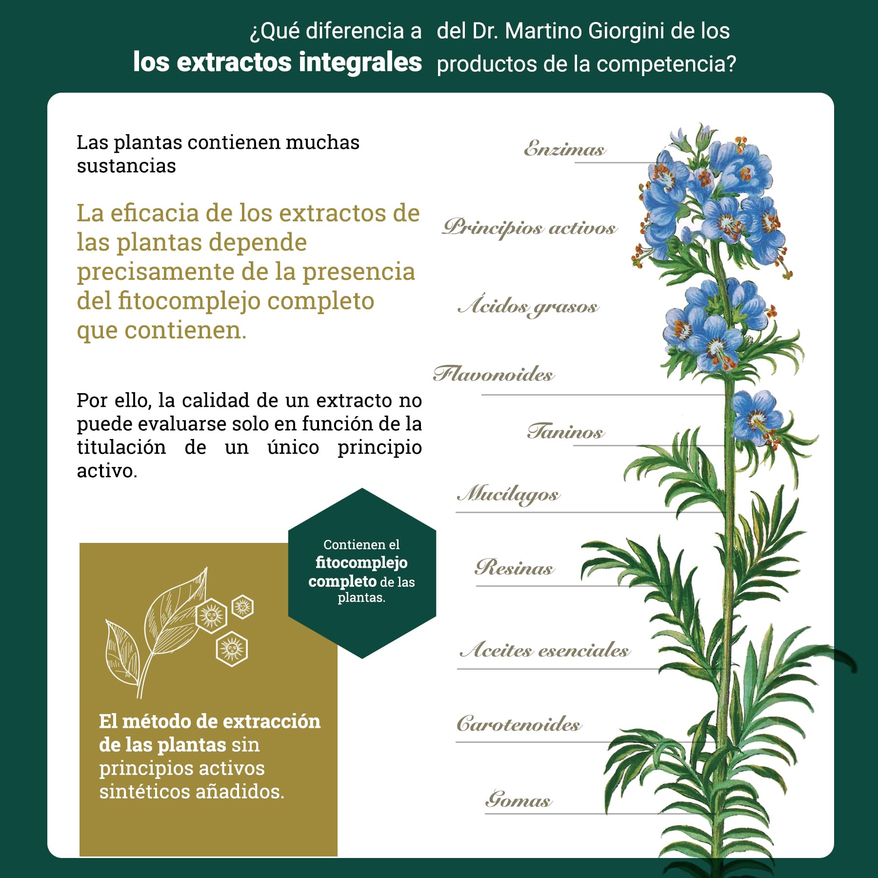 Dr. Giorgini Cardo Mariano Extracto Integral (Silybum marianum) – 200 ml