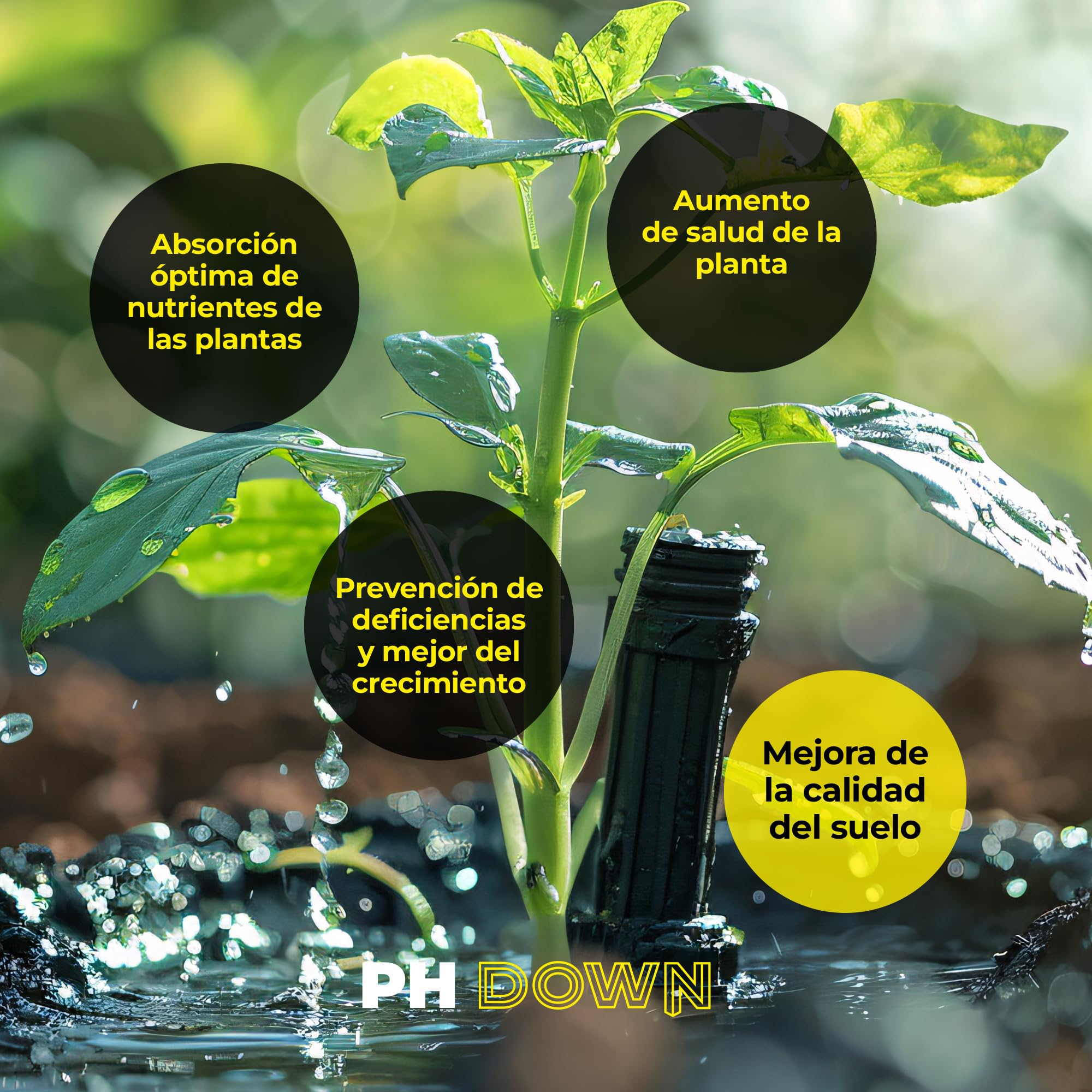 UP NUTRIENTS Pack régulateur PH UP & DOWN 1 L pour plantes | Augmente et amincissant pH sols, cultures et fleurs | Correcteur soulevé et abaisseur 100 % biologique adapté à l'agriculture biologique