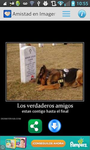 Amistad en Imagenes