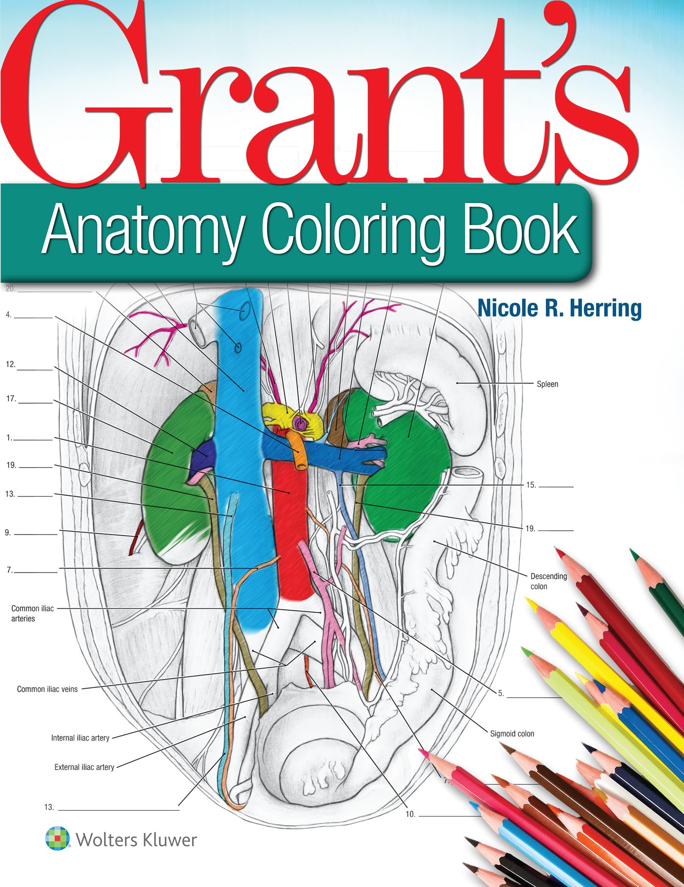 Grant's Anatomy Coloring Book.by Herring  New 9781496351258 Fast Free Shipping**