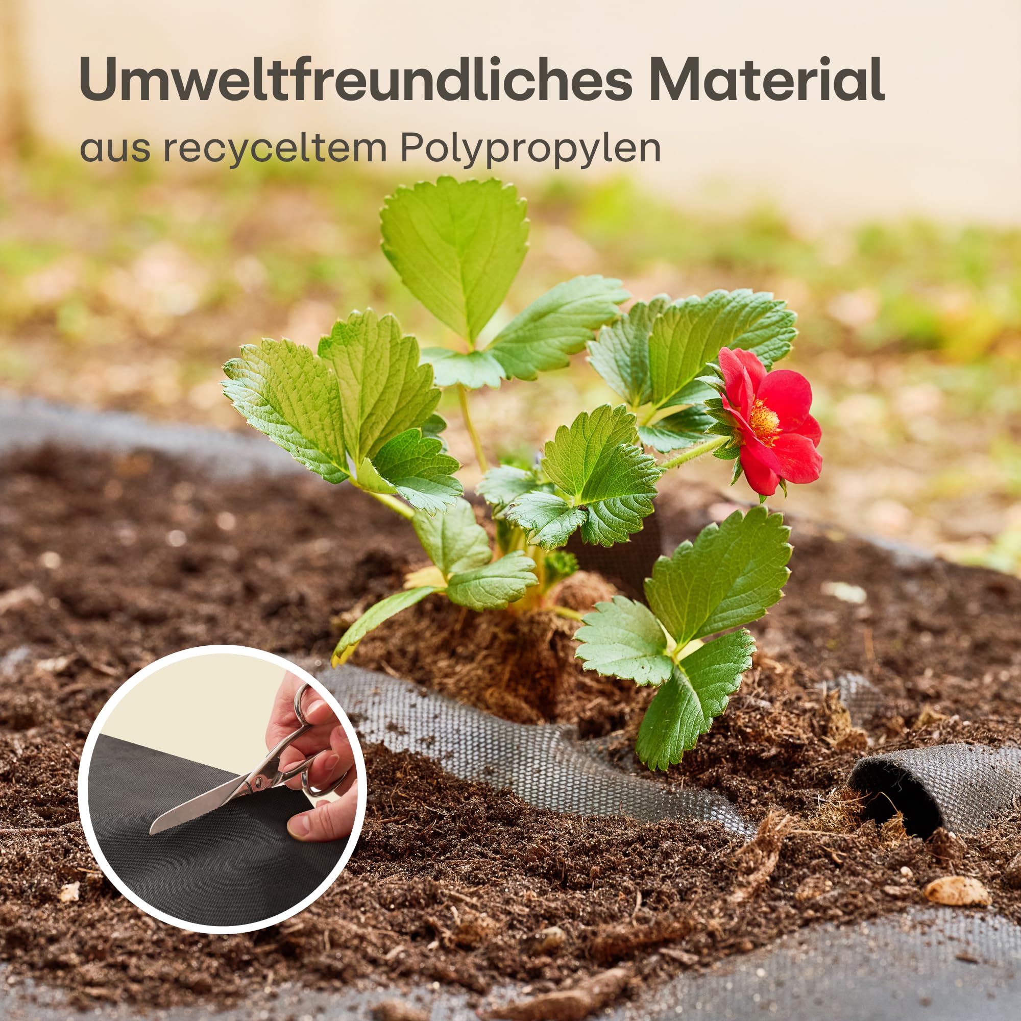 Praknu Unkrautvlies 100g/m2 Extra Stark - 50m2 - Unkrautfolie mit 24 Erdankern - Wasserdurchlässig & Reißfest - UV Stabil - Gartenvlies - Gartenfolie - Mulchfolie - Vlies gegen Unkraut - Unkrautmatte