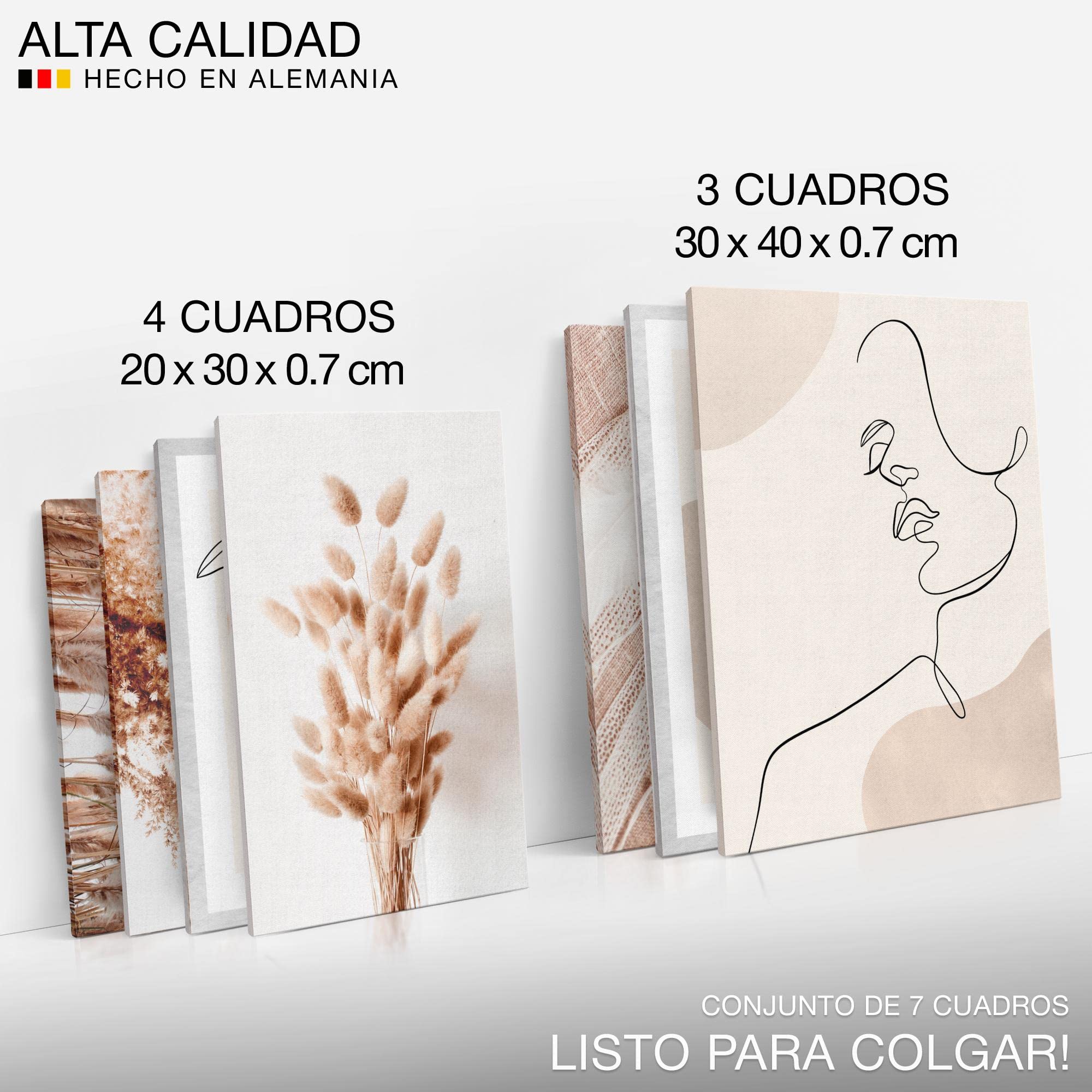 Quadros - Completamente Pronto Da Appendere - Immagini - Erba Di