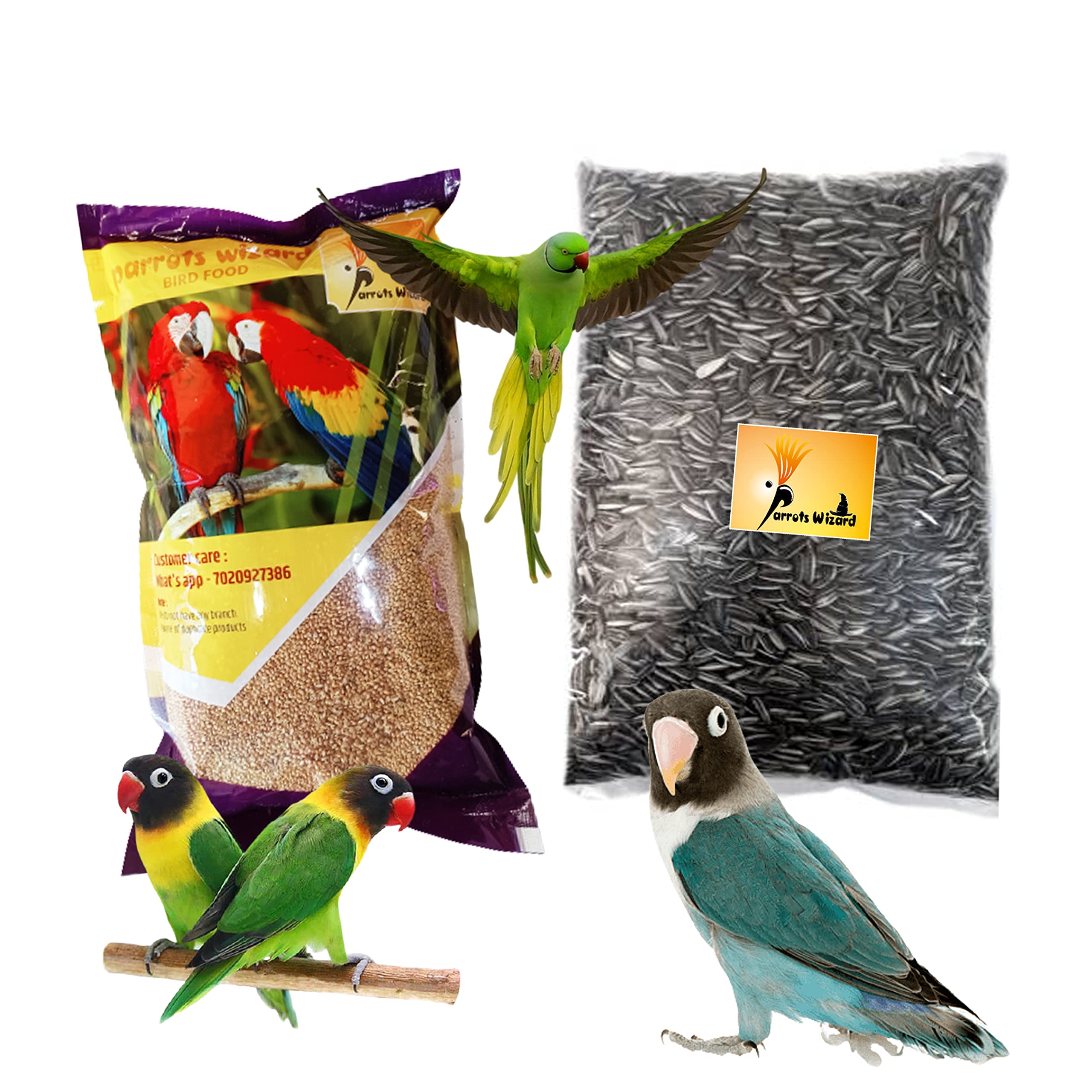 Parrots Wizard, Small Size Kangani and Small Size Sunflower Seeds Combo Pack (Each 900 Grams) (B09N42WD6M) Amazon Price History, Amazon Price Tracker
