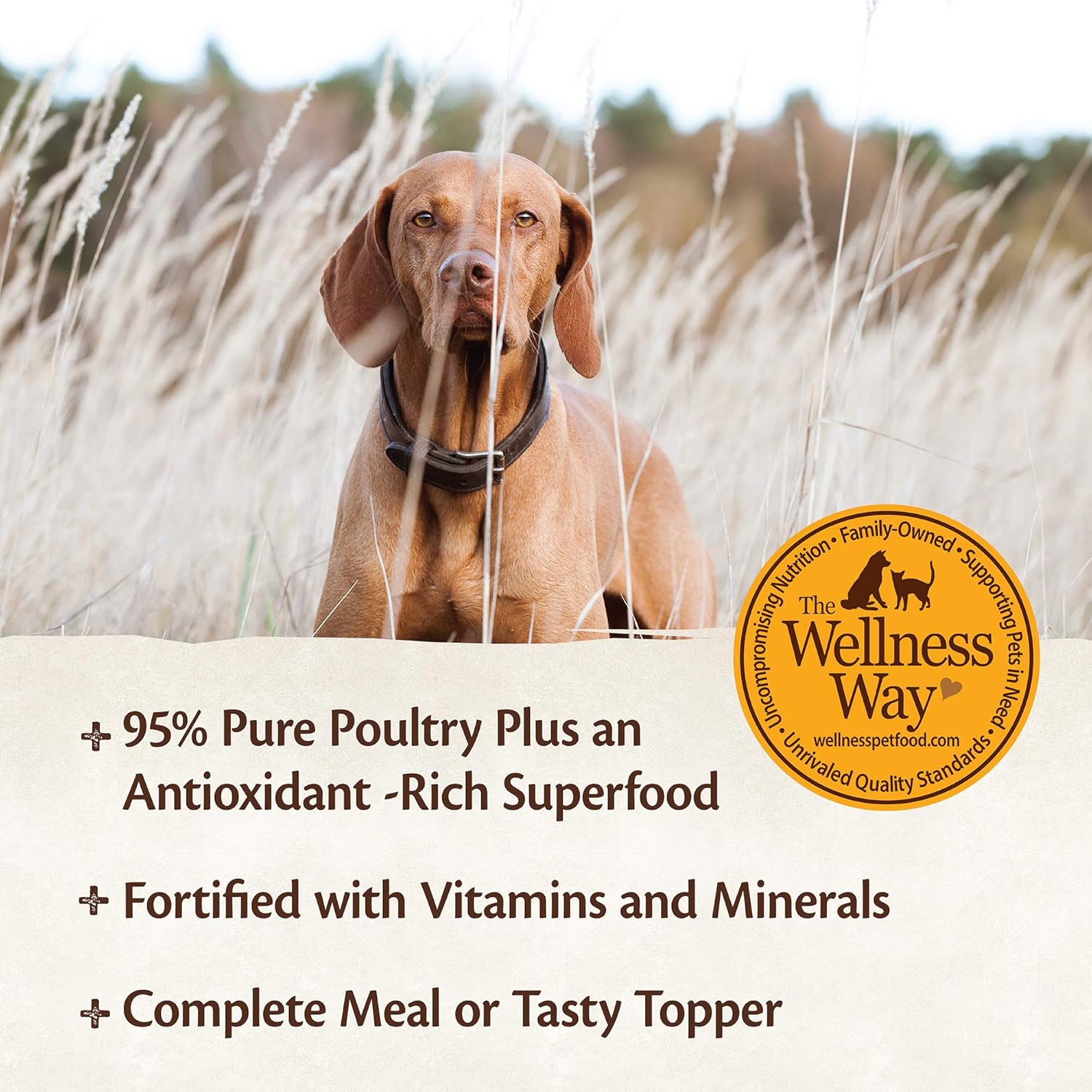 Wellness CORE 95% Natural Wet Grain Free Canned Dog Food, Turkey & Spinach, 6-Ounce Can (Pack of 24)