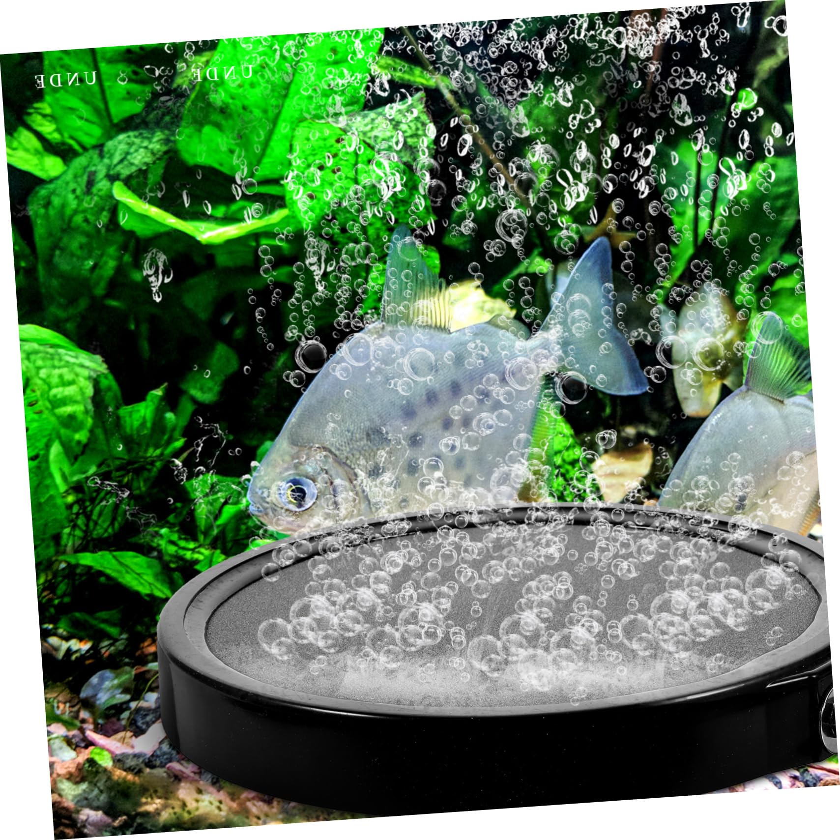 Happyyami Difusor Disco Piedra de Oxígeno para Acuario y Pecera, Material de Arena y Grava, Oxigenación, se UNE a Bomba de Aire Color Aleatorio
