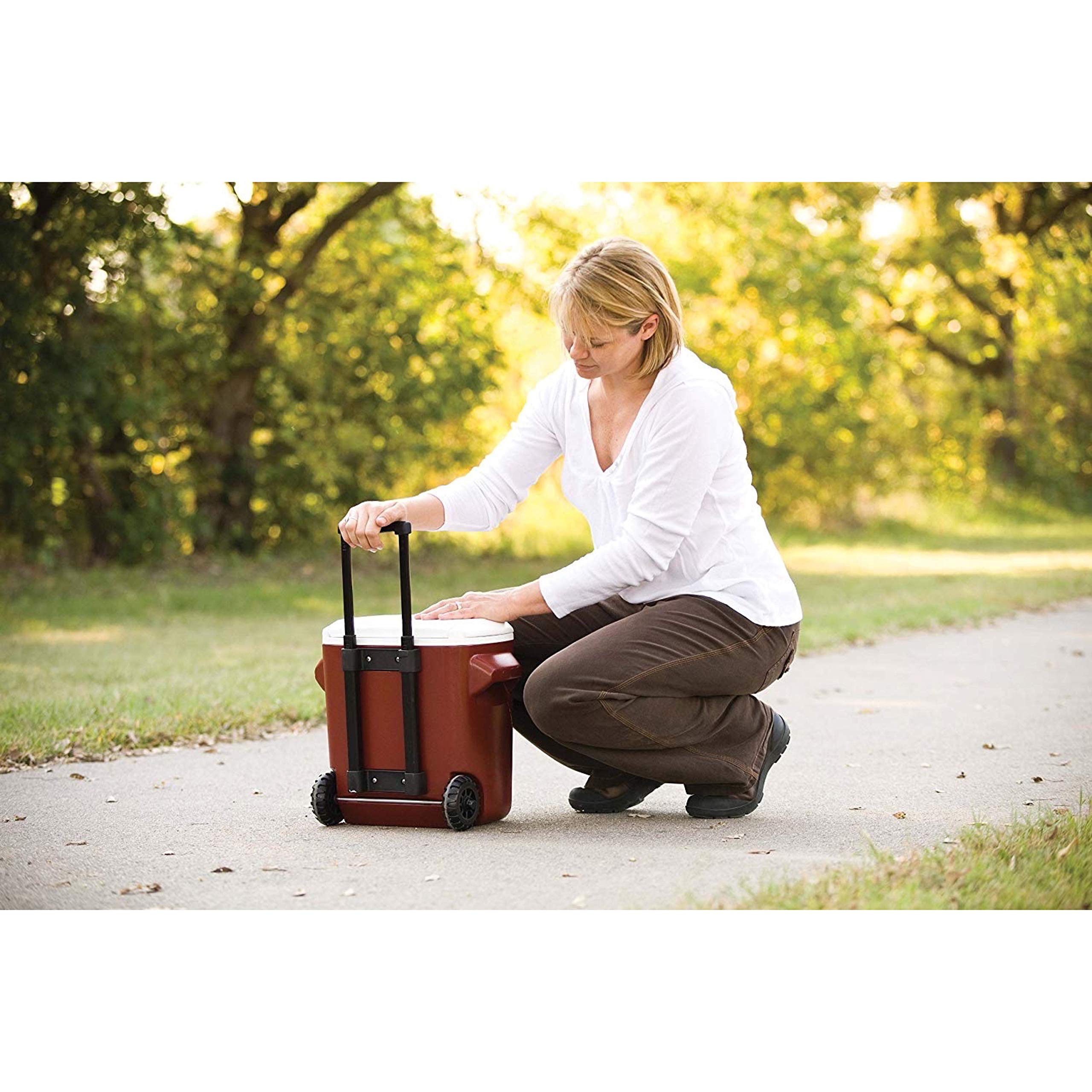 Amazon | 16QT WHEELED COOLER ホイールクーラー RED [並行輸入品