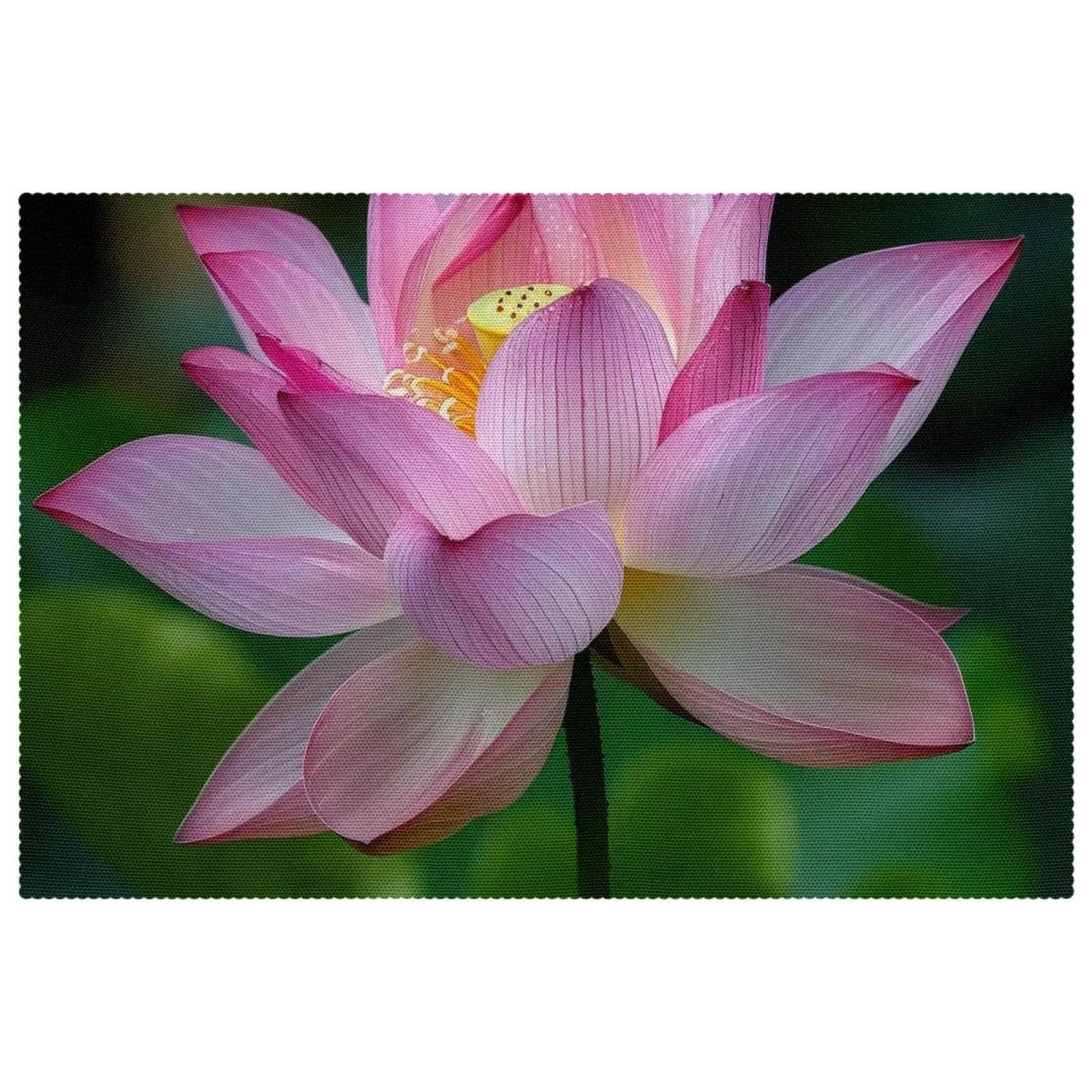 Set de table d'été fleur de lotus 30,5x45,7 cm antidérapant résistant chaleur salle à manger