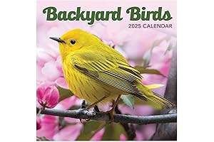 TF PUBLISHING Wall Calendar Birds 2025
