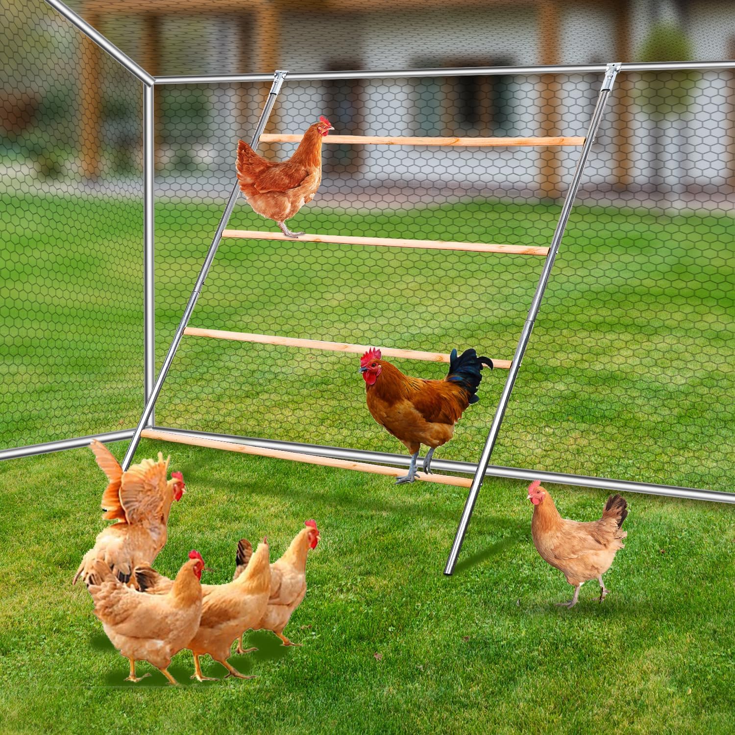 Chicken Perch Stand, Chicken Roosting Ladder Outdoor