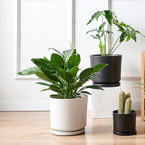 Miniatura 6 de Maceta para plantas de 7.5 pulgadas, macetas de interior de cerámica blanca con agujeros de drenaje y platillo (planta no incrustada)