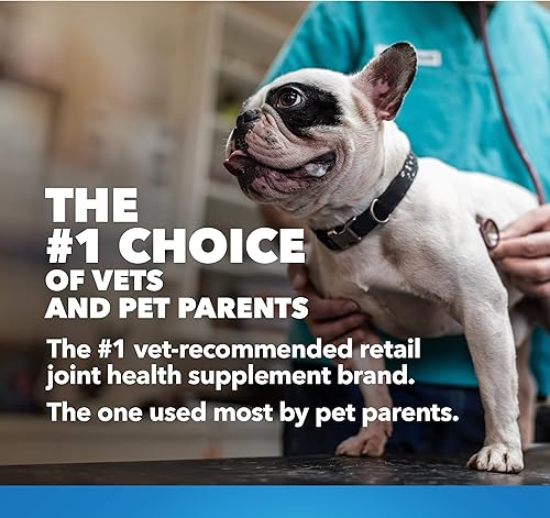 Miniatura 7 de Nutramax Laboratories COSEQUIN - Suplemento de articulaciones de máxima resistencia Plus MSM - con glucosamina y condroitina - para perros de todos