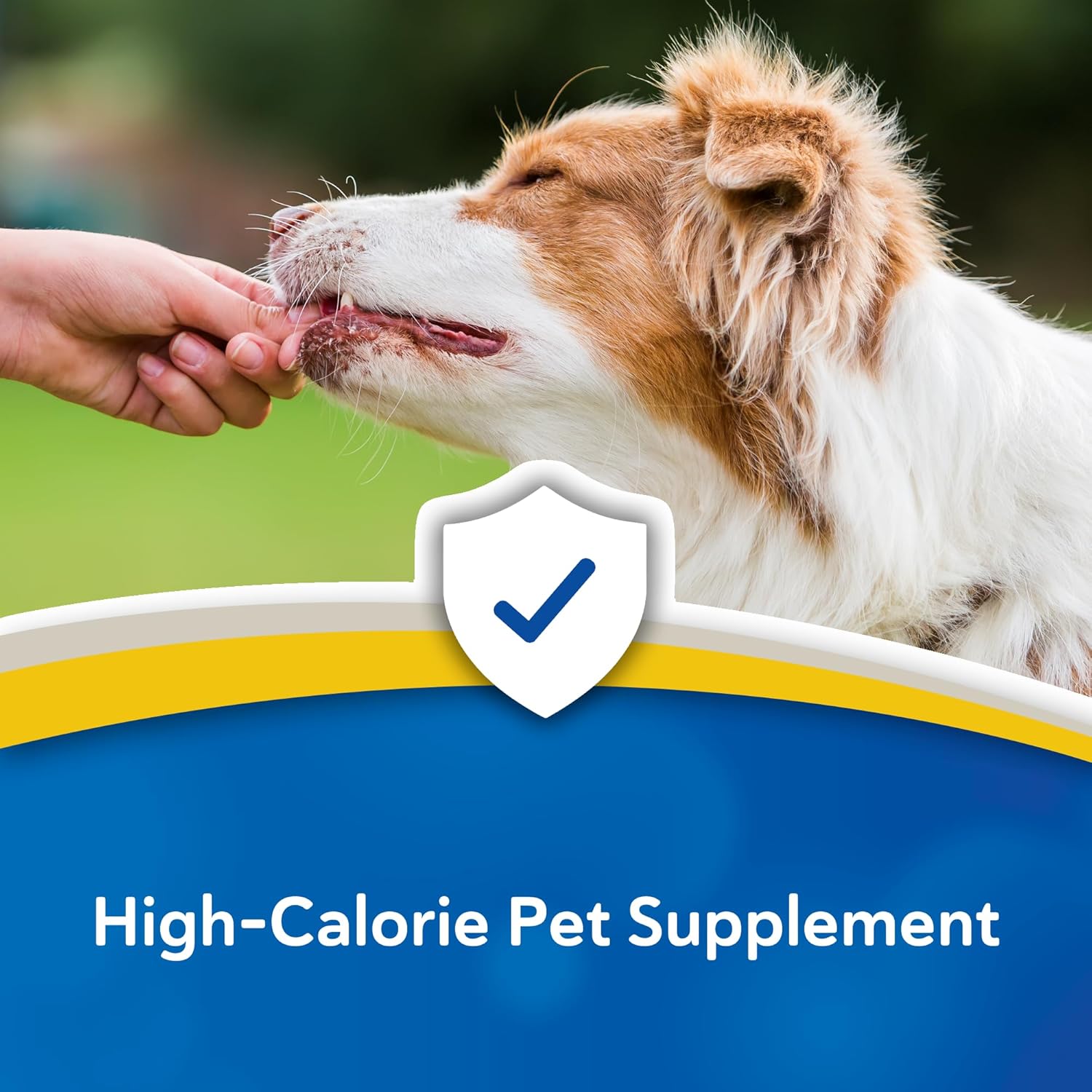 Doc Roy’s Forti Cal Soft Chews, High-Calorie Energy Supplement for Dogs & Cats, Boosts Appetite, Weight Gain & Recovery, Tasty Roast Beef & Liver Flavor, 120ct