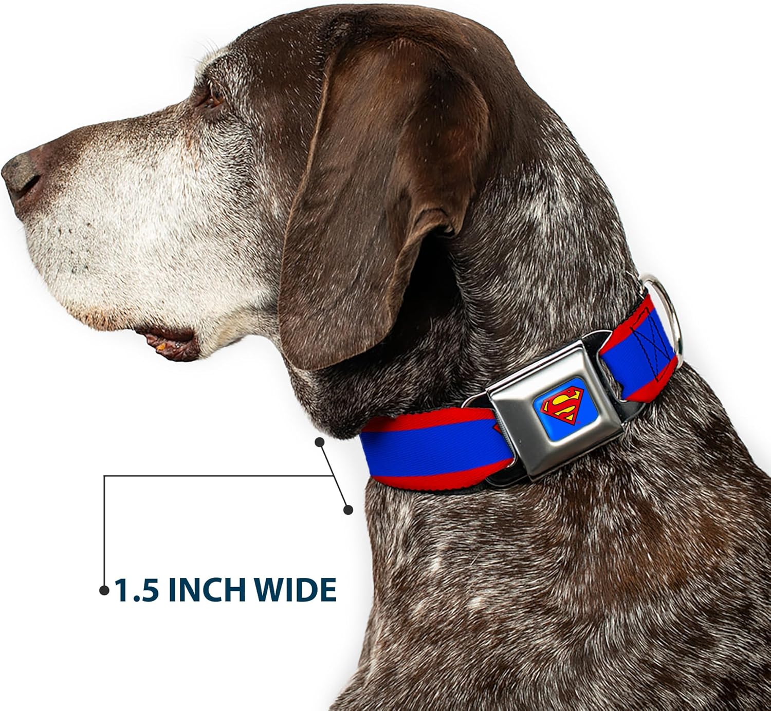 Buckle-Down Seatbelt Buckle Dog Collar - Superman Shield/Stripe Red/Blue - 1" Wide - Fits 15-26" Neck - Large
