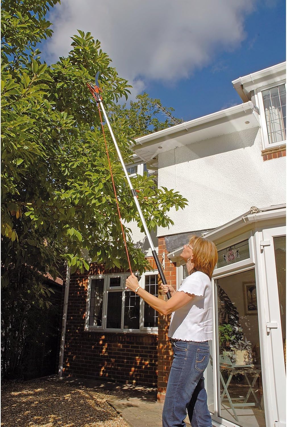 Draper DRA45334 Expert Diameter Tree Pruner with Telescopic Handle and Cutting Capacity,Blue,32mm