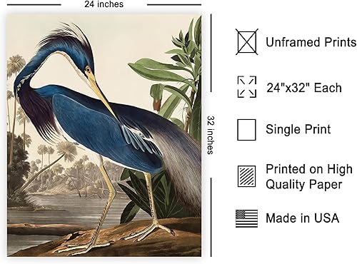 Miniatura 511 de Poster Master Póster vintage de flamenco americano, estampado retro de flamenco rosa, arte de pájaro, regalo para él, ella, amante de los animales,