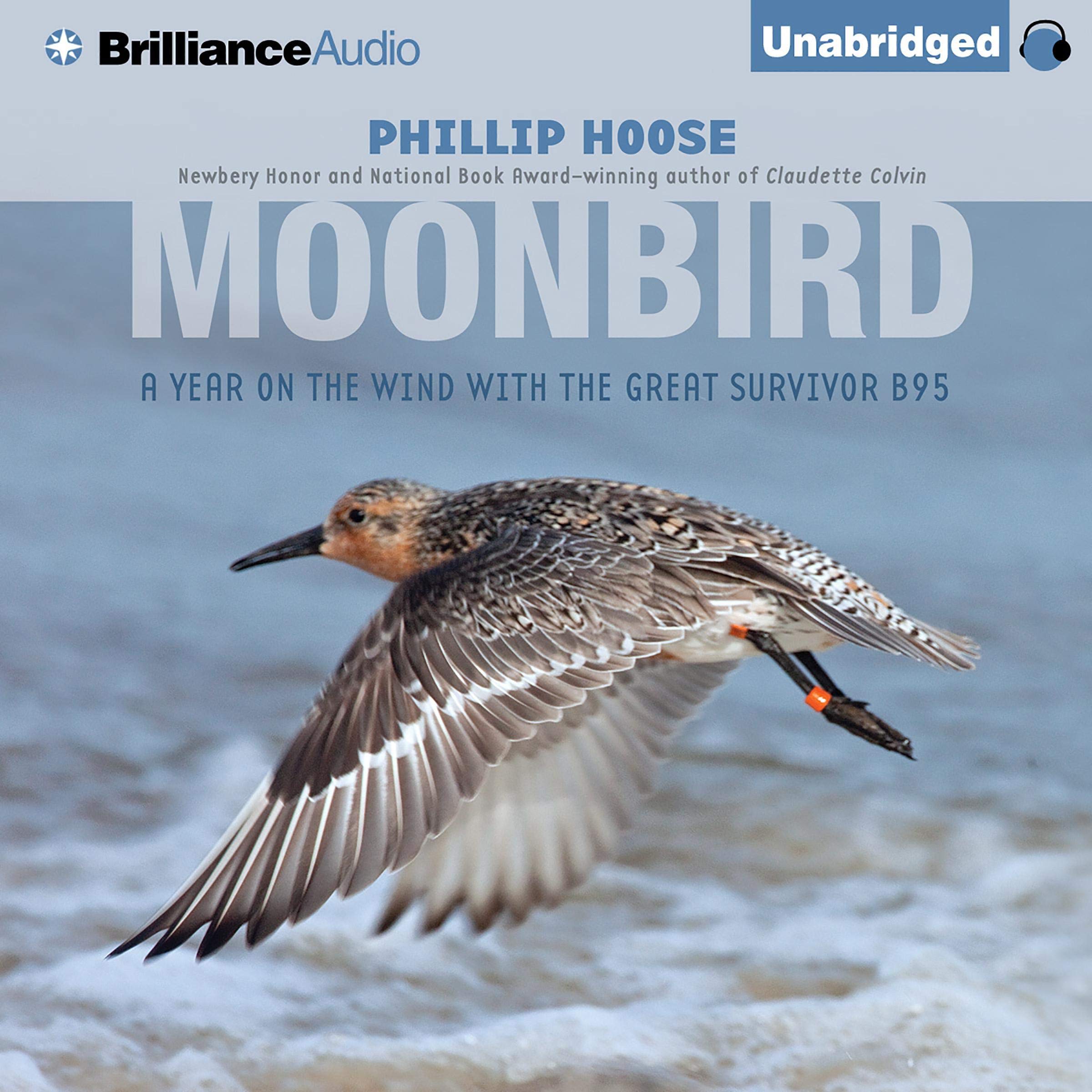 Cover art for Moonbird