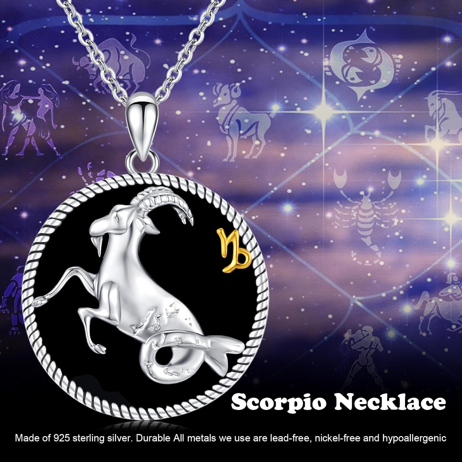 12 Constellation Necklace 925 Sterling Silver Zodiac Sign Coin Pendant Necklaces Black Onyx Astrology Horoscope Jewelry Birthday Gifts for Women Men - Image 7