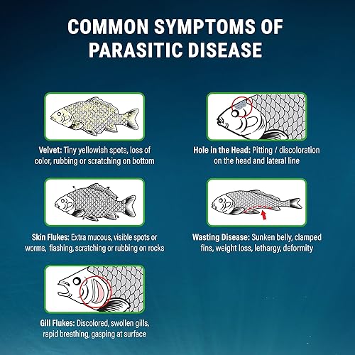 Miniatura 4 de Fritz Aquatics ParaCleanse proporciona un alivio rápido de enfermedades parasitarias (20 unidades)