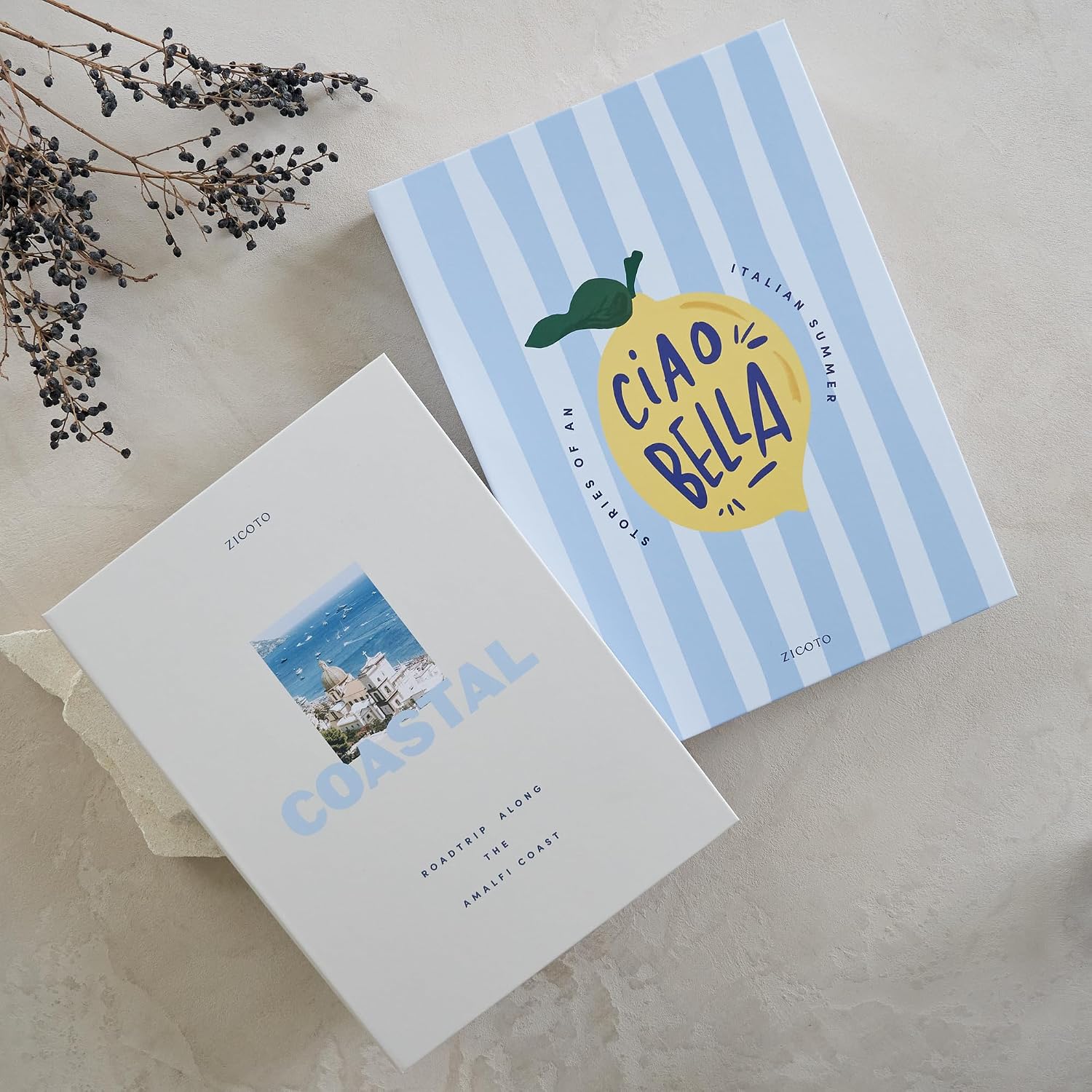 Beautiful Decorative Books - Set of 2 Coastal Boxes for Coffee Table Decor