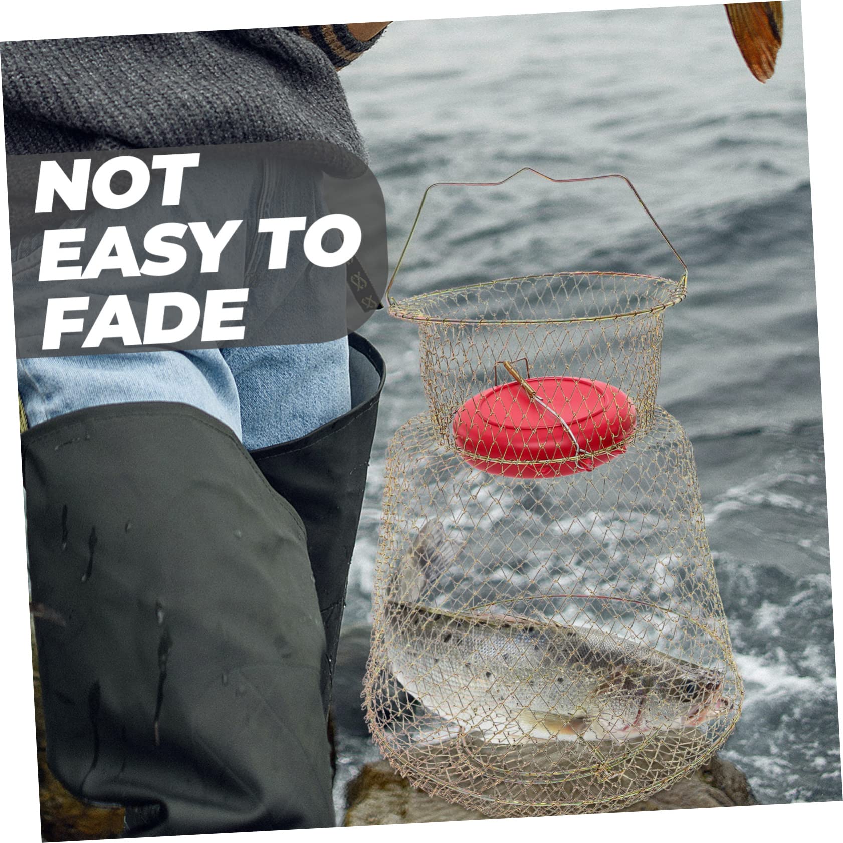 Cestino della guardia di pesce filo trappola per pesci cesto di pesce per il pesce pescato gabbie cantra gabbia da pesca rete a rete per gamberi di pesce porta pesca ferro da stiro