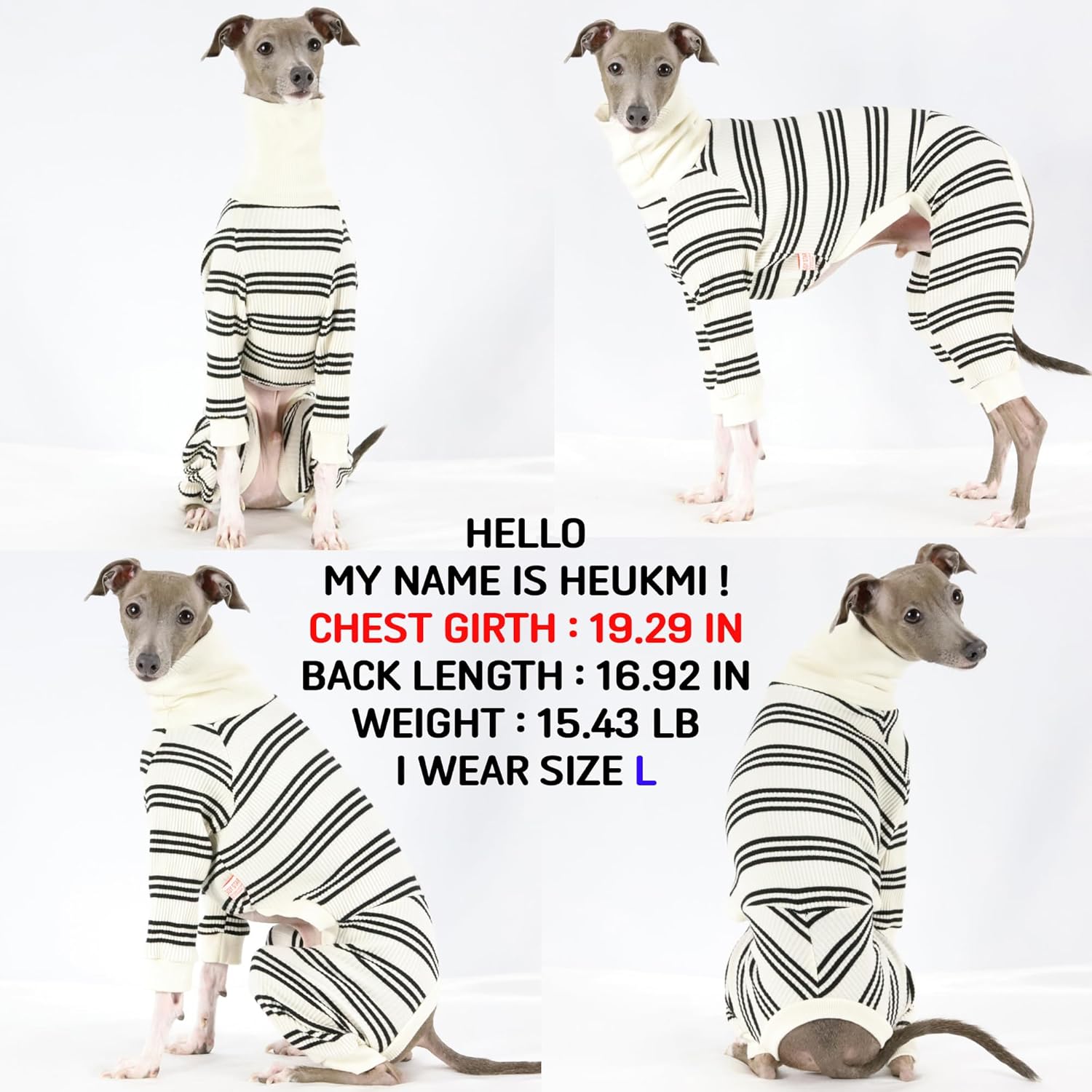 D Doggy Star Italian Greyhound Clothes Soft Stretchy Onesie Refined Stripe Outfit Whippet for Dog Coat (M,Onsi Black Str)