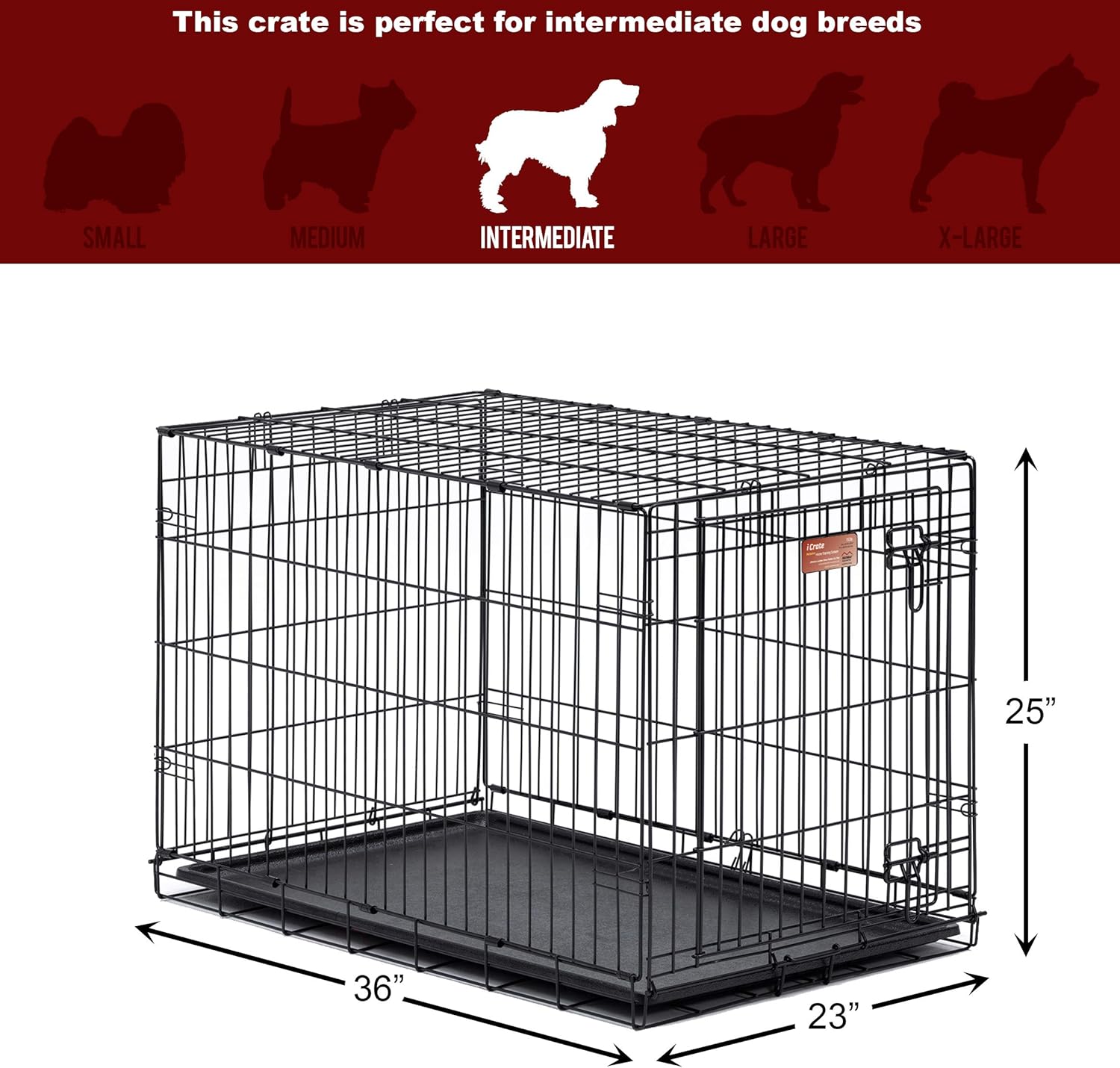 Dog Crate MidWest ICrate 36 Inch Folding Metal Dog Crate w/ Divider Panel Intermediate Dog Breed, Black : Pet Supplies