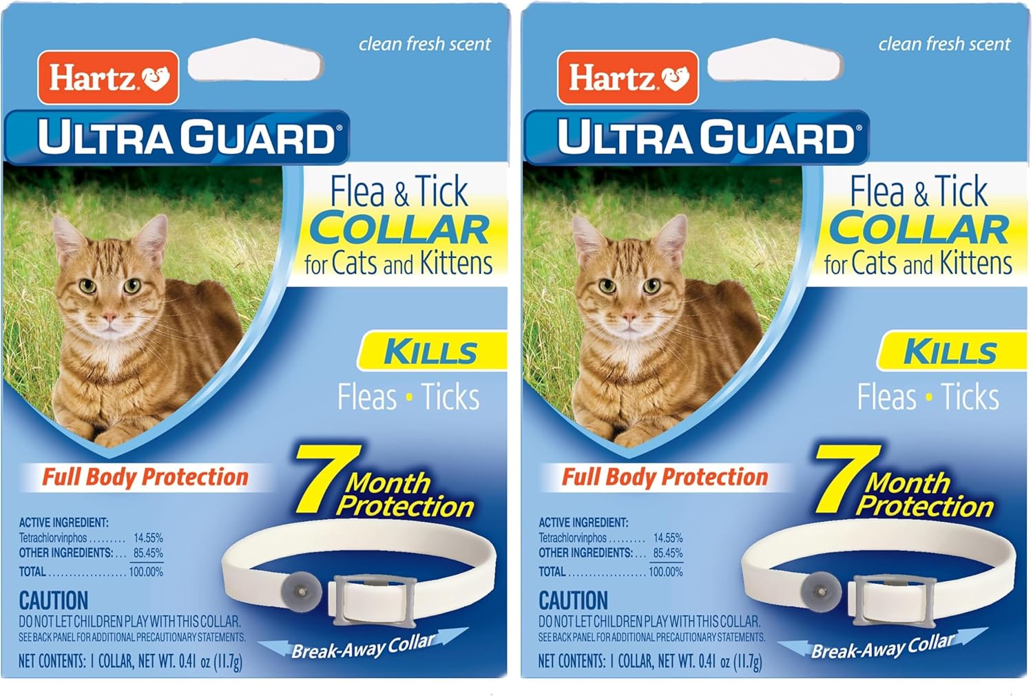 Cats and Kittens (Pack of 2)