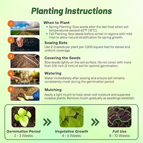 Miniatura 4 de Outsidepride Semillas de coleus de menta y chocolate para plantar, 20 unidades, anuales, compactas y fáciles de cultivar, semillas de flores con