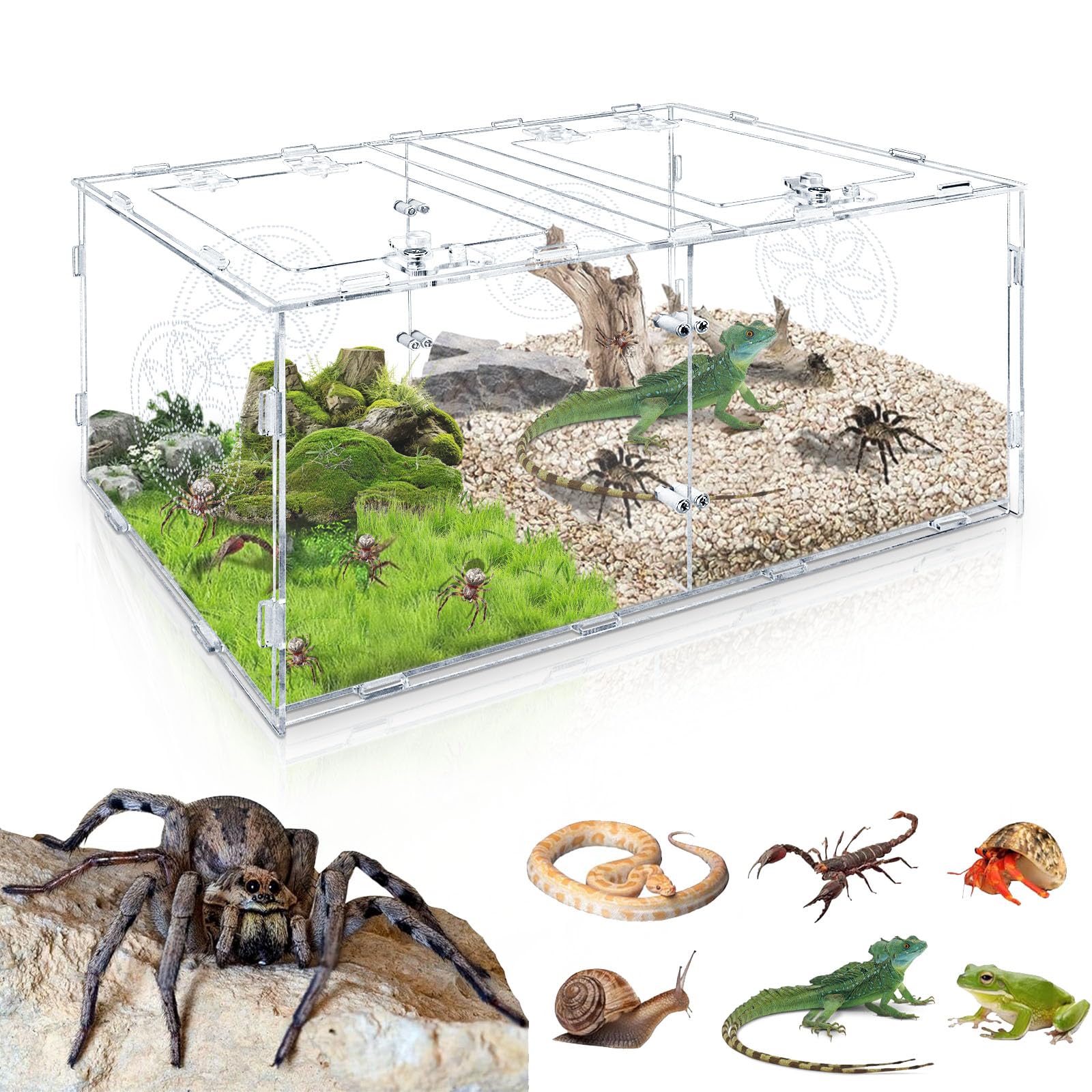 Recinto grande de araña saltadora, caja de tarántula acrílica de 15.7 x 7.8 x 9.85 pulgadas, recinto de reptiles para reptiles que viven en árboles pequeños, anfibios e invertebrados, terrario de