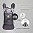 LLLbaby 3-in-1 Ergonomic CarryOn Airflow Toddler Carrier with Lumbar Support & Breathable Mesh (25-60 lbs), Supportive & Comfortable, Multi-Position Carrying for Hiking & Travel (Charcoal/Silver)