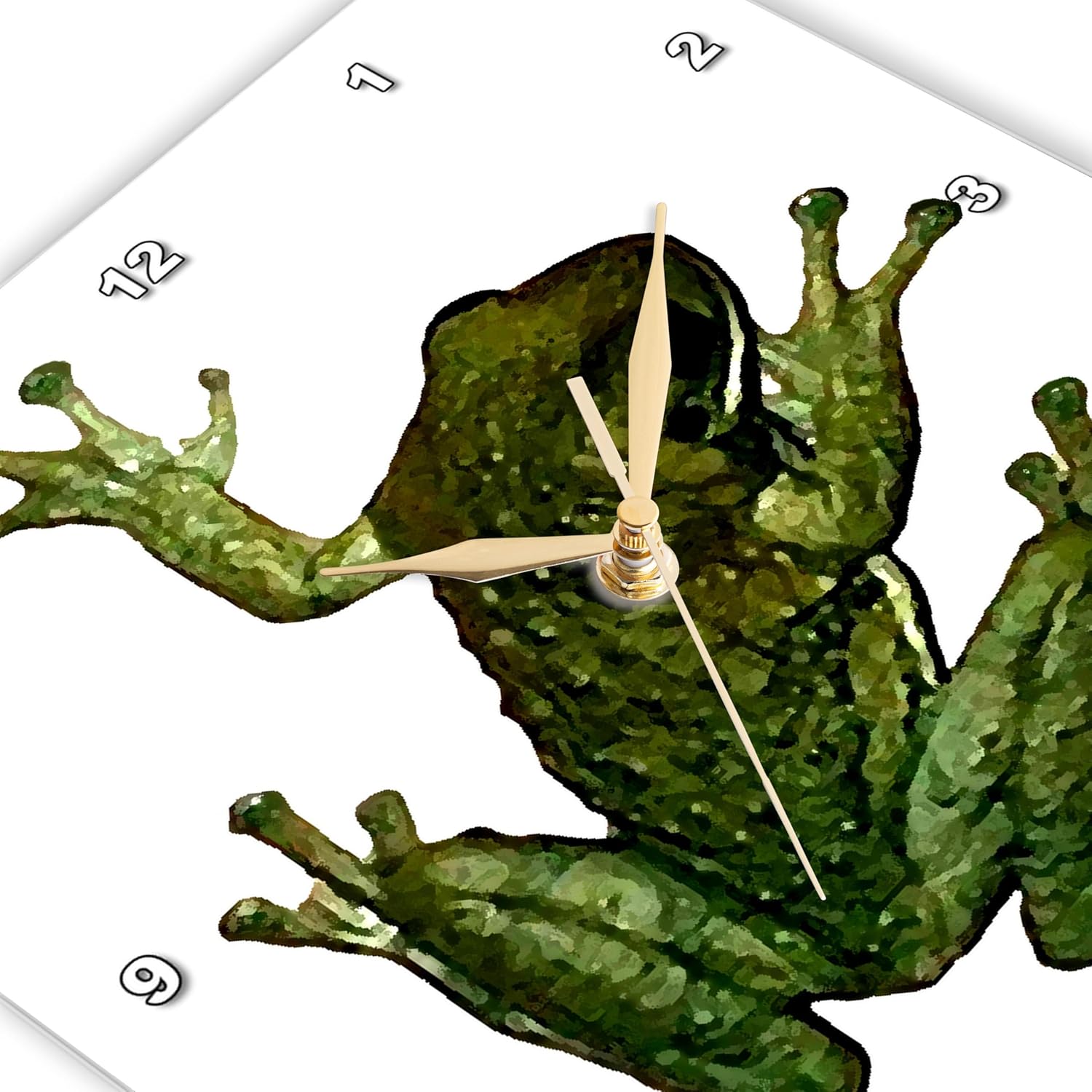 3dRose Wall Clock Silent - 15 inch - Green Frog - Frogs