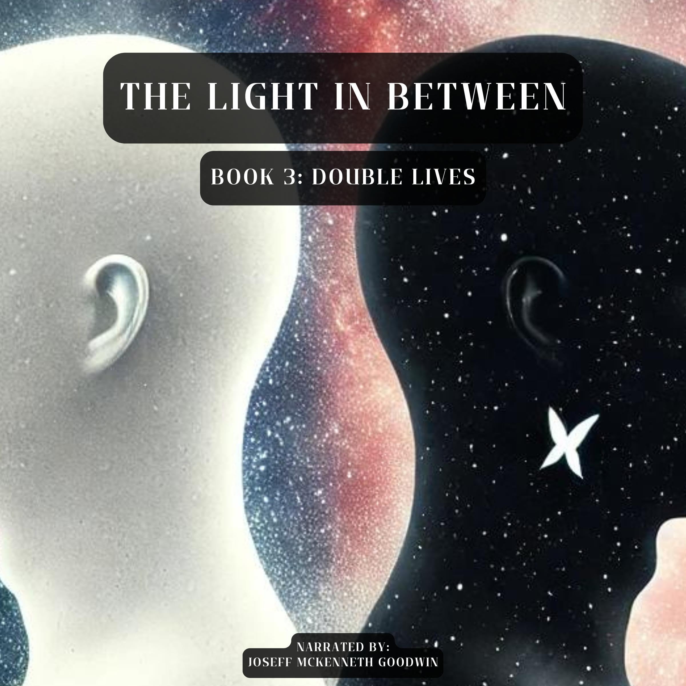 Cover art for Double Lives