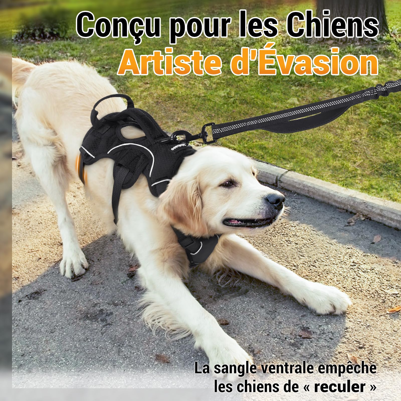 rabbitgoo Harnais pour Chien avec Poignée de Levage,Harnais Réglables pour Animaux de Compagnie Facile à Contrôler,Gilet pour Chien Réfléchissant pour Chiens de Taille Grande M, Noir