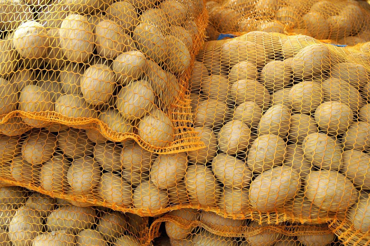 Coquilles D'Ormeaux Du Chili - 50 à 100 Mm - 1 KG (environ 40 ~ 50