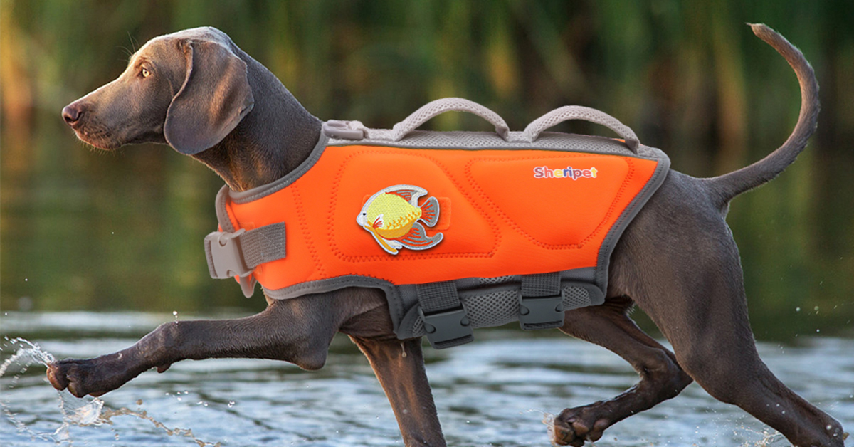 Amazon.com : Sheripet Dog Life Jacket for Large Dogs, Dog Life