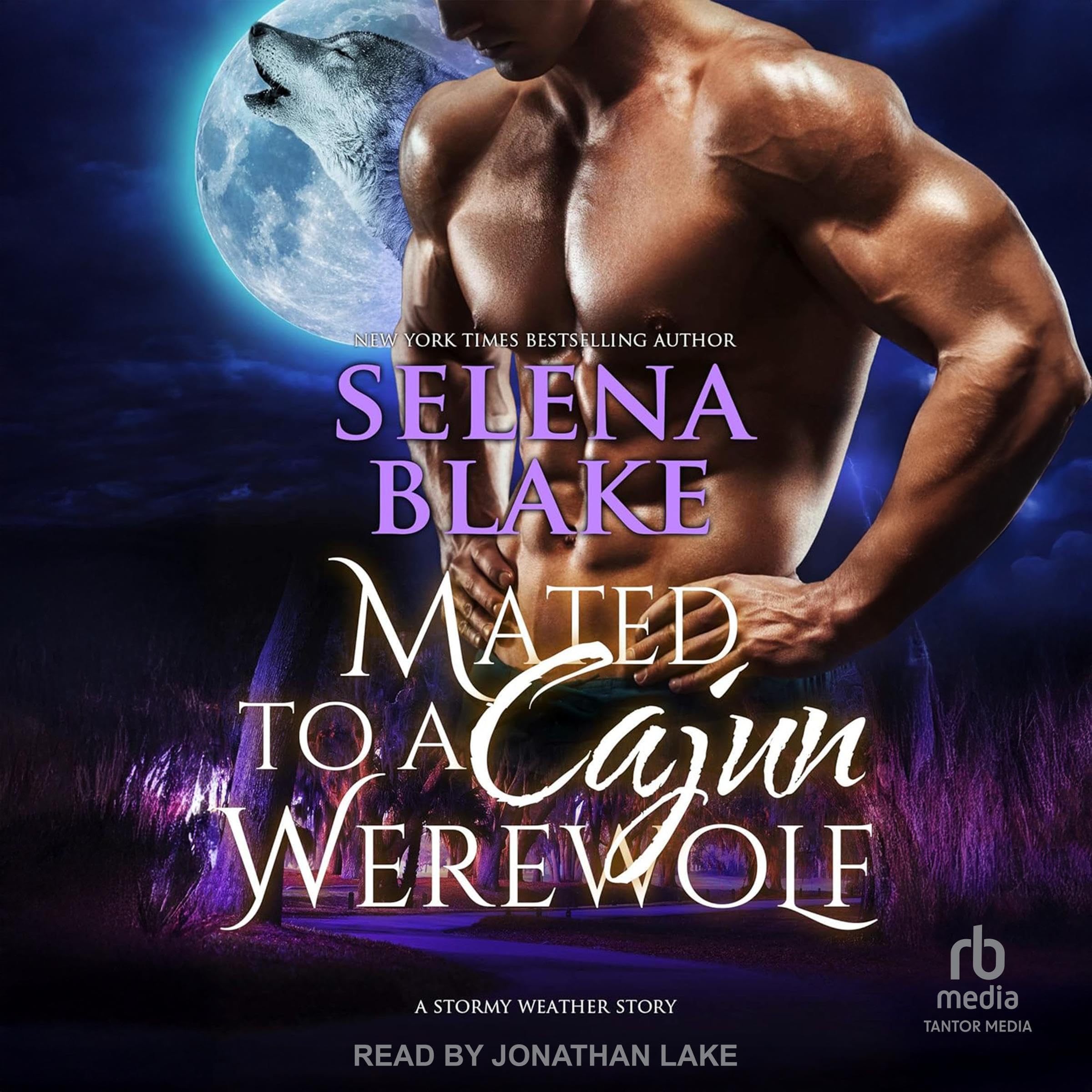 Cover art for Mated to a Cajun Werewolf