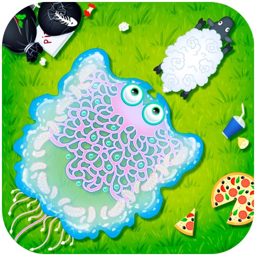 Small Planet Evolve - Taste of Life