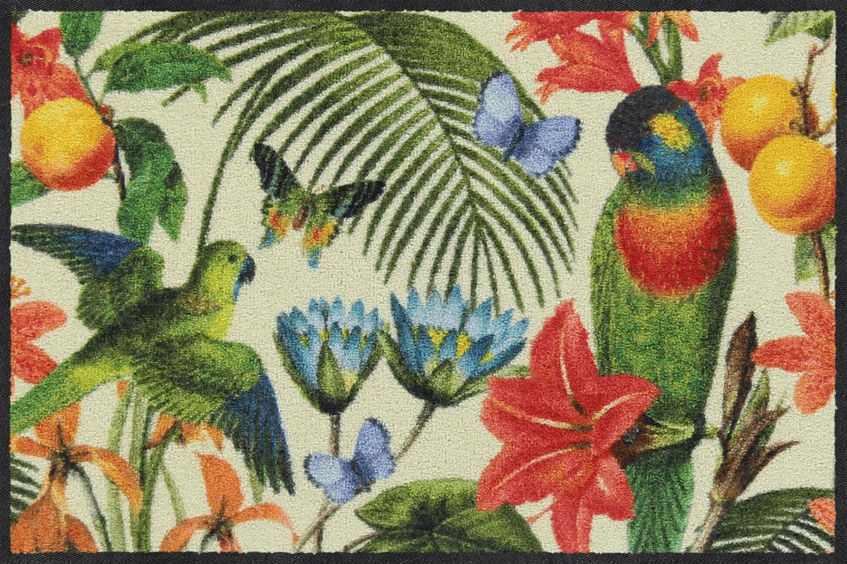 Salonloewe Fussmatte Jardin Majorelle I Schmutzfangmatte & Fußabtreter für Innen 50 x 75 cm