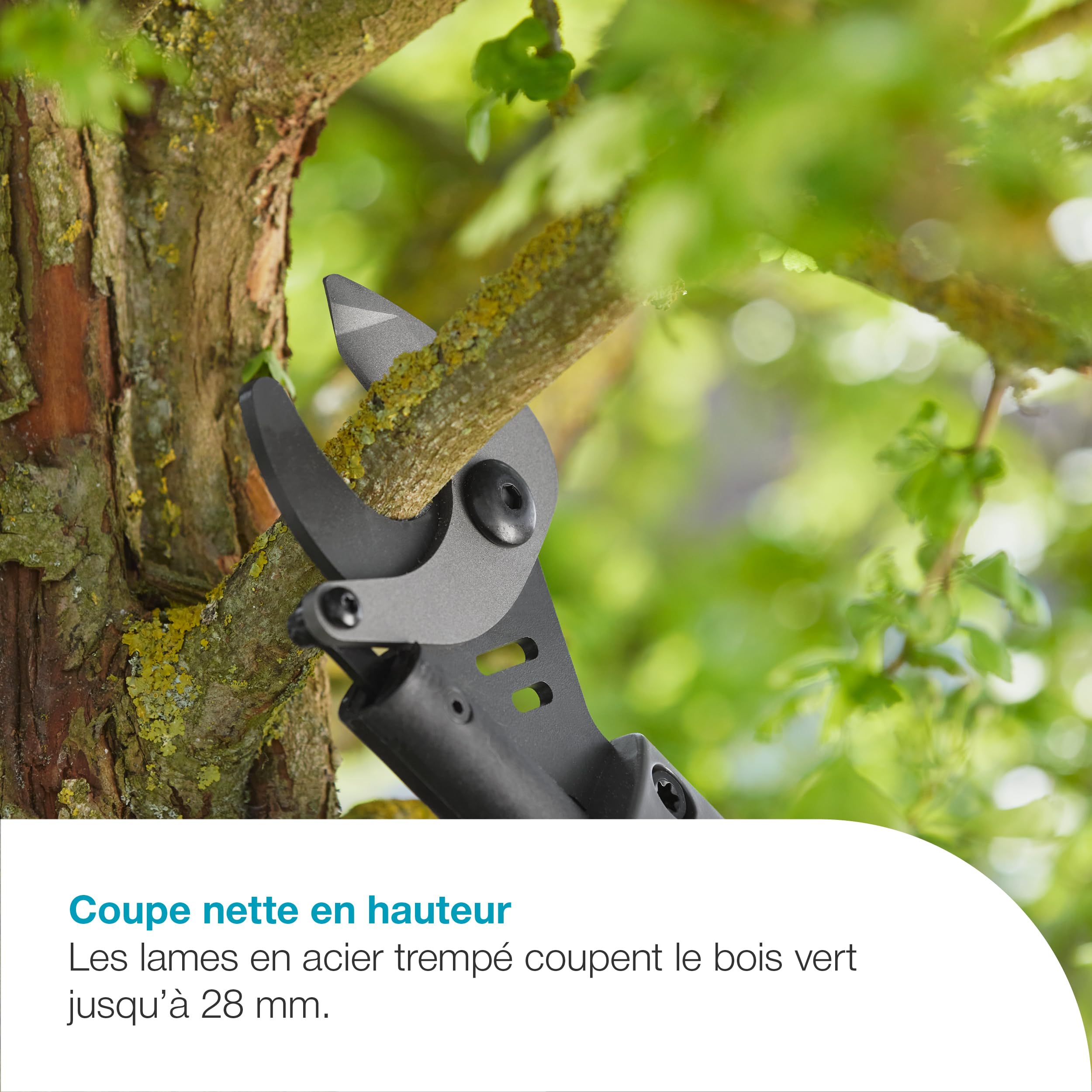 Gardena Coupe-Branches sur Batterie EasyCut 110/18V P4A - Kit prêt à l’Emploi: Coupe sans Effort, Portée Jusqu’à 2,5 m, Léger, Lames en Acier, sans Fil (14772-20)