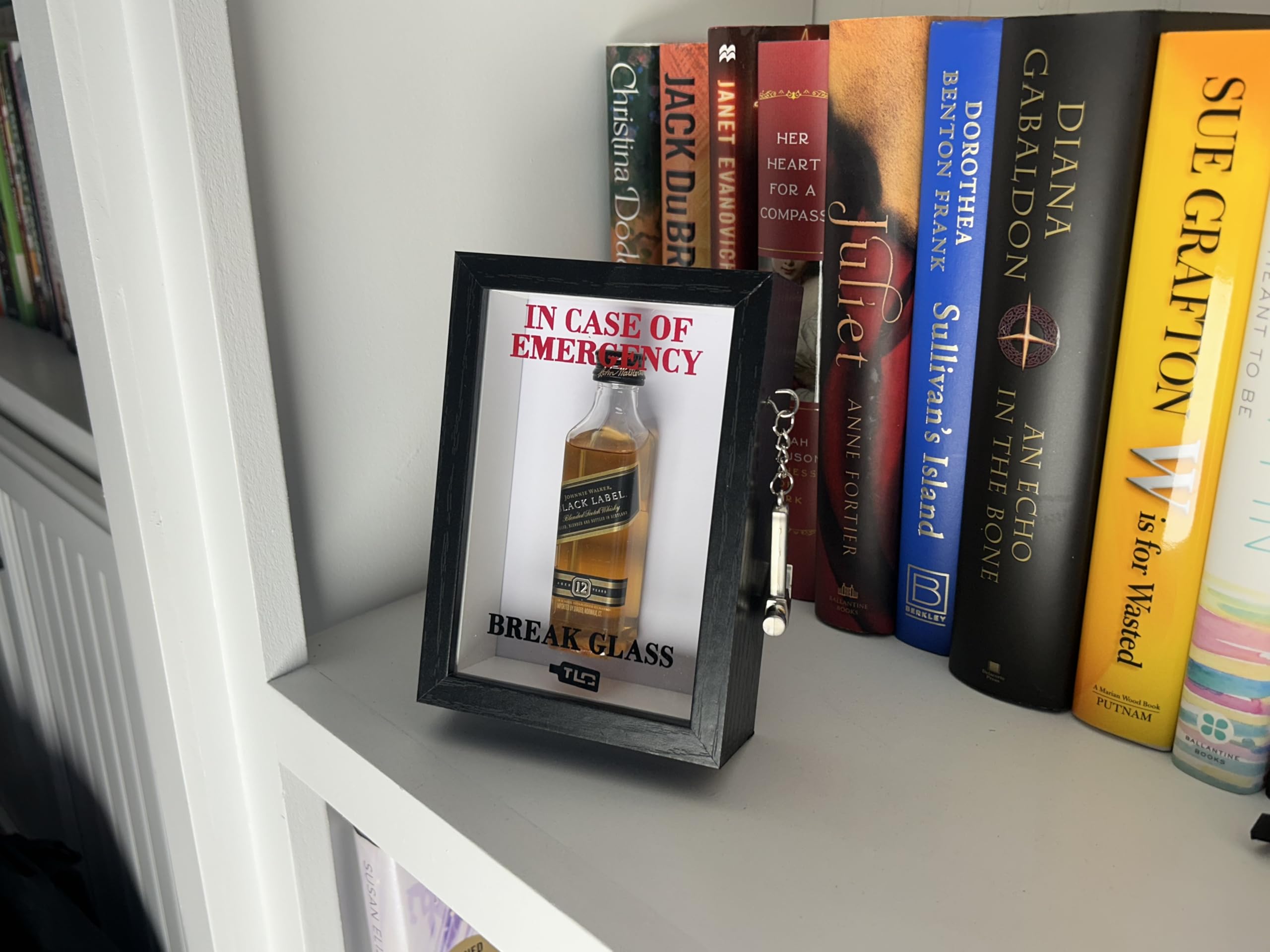 Amazon.com: in Case of Emergency Break Glass - Deluxe 3D Display 