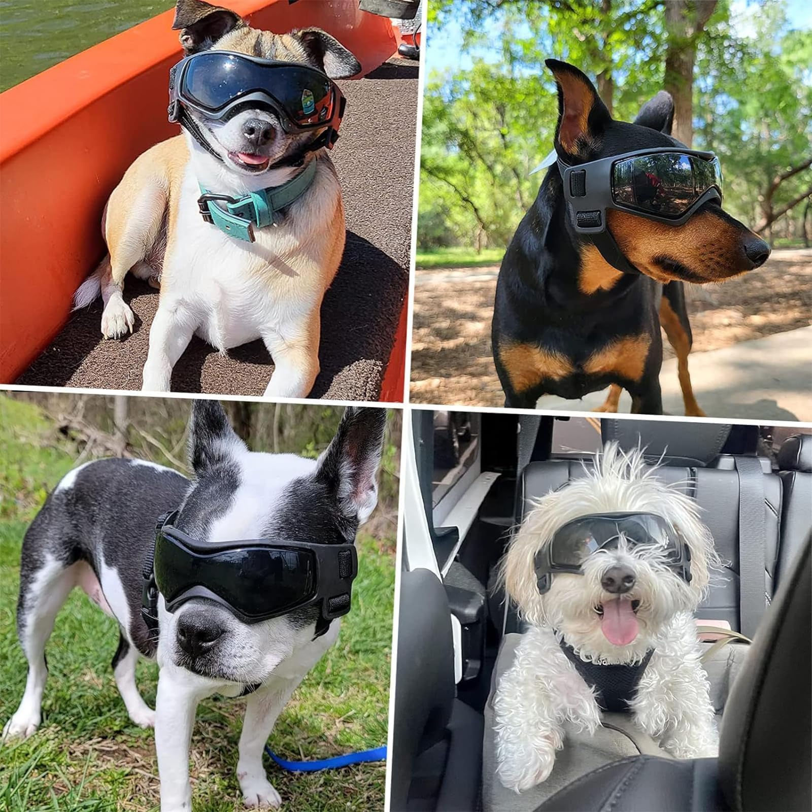 Hundebrille UV-Schutz Sonnenbrille für Kleine Mittelgroße Hunde
