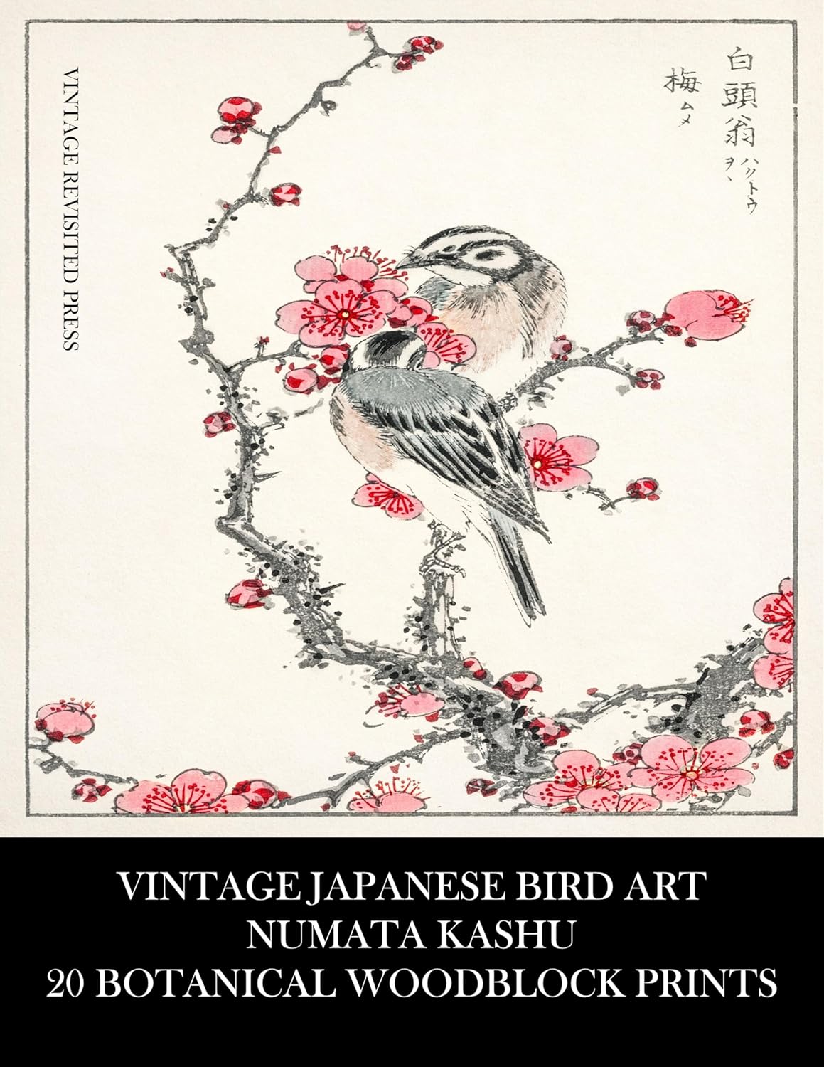Vintage Japanese Bird Art: Numata Kashu: 20 Botanical Woodblock Prints: Ornithology Ephemera for Collage, Junk Journals, Framing and Decoupage      [Print Replica] Kindle Edition