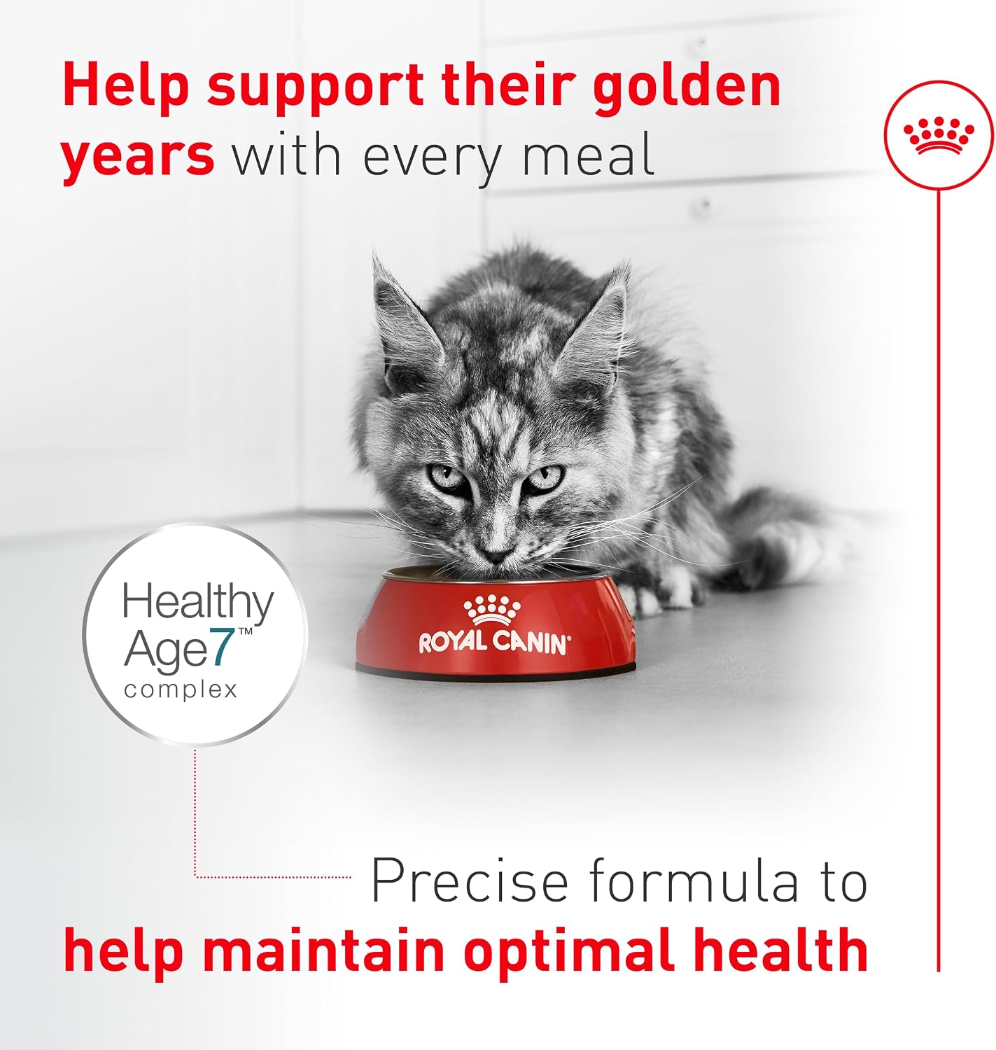 Royal Canin Feline Health Nutrition Aging 11+ Dry Cat Food for Seniors, Kibble Rich in Energy for Cats Over 11 Years, Supports Optimal Health & Vitality, 6 lb Bag